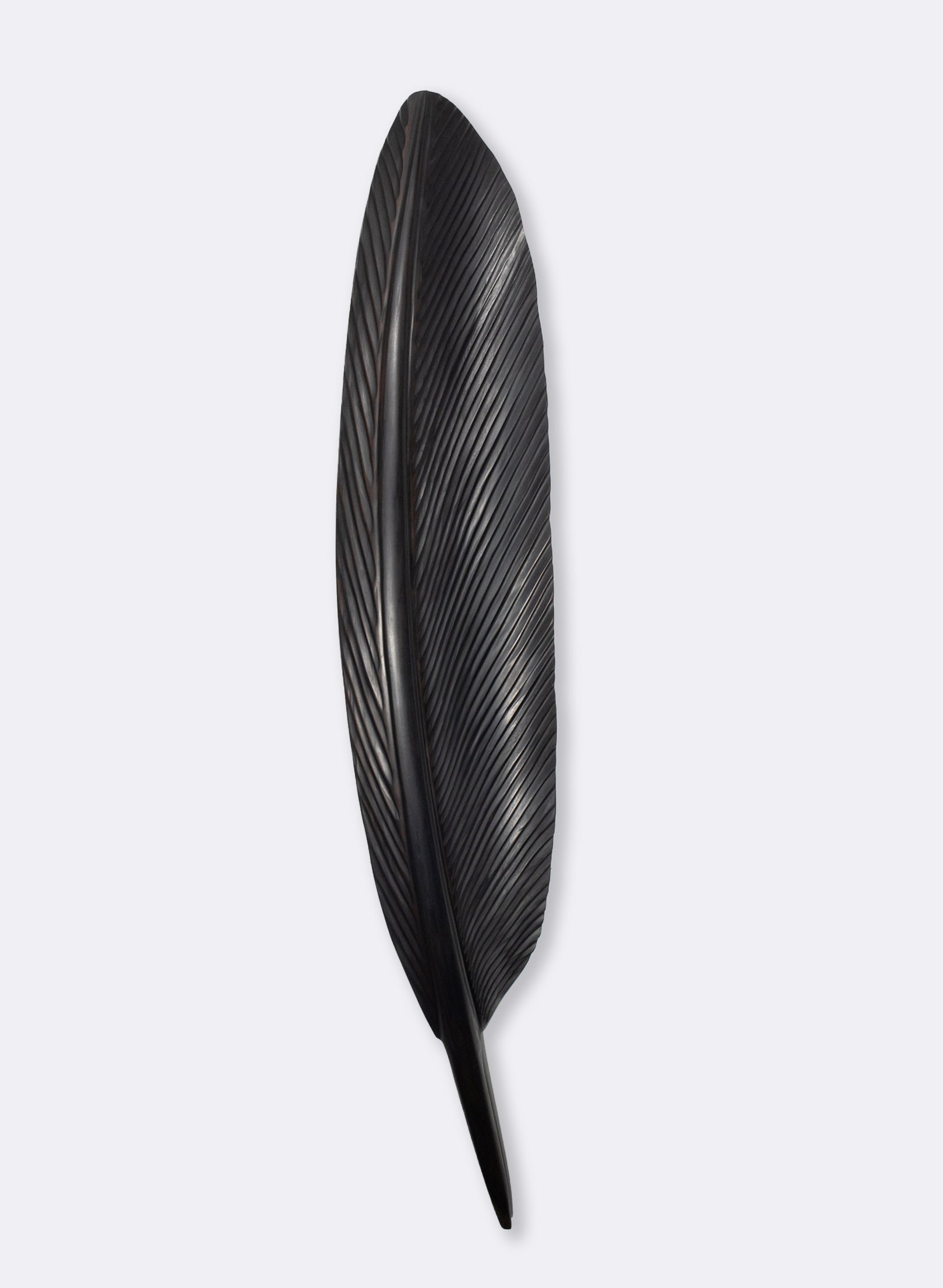 Tui Feather 1500mm - Black Swamp Kauri