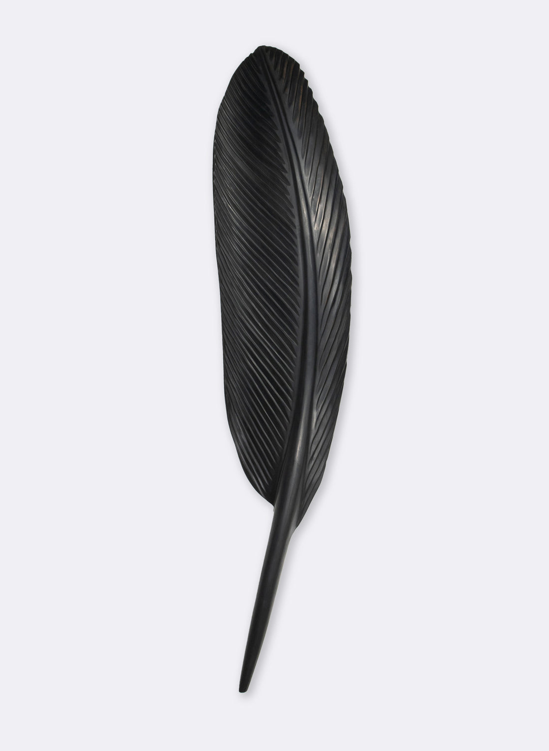 Tui Feather 1420mm - Black Swamp Kauri