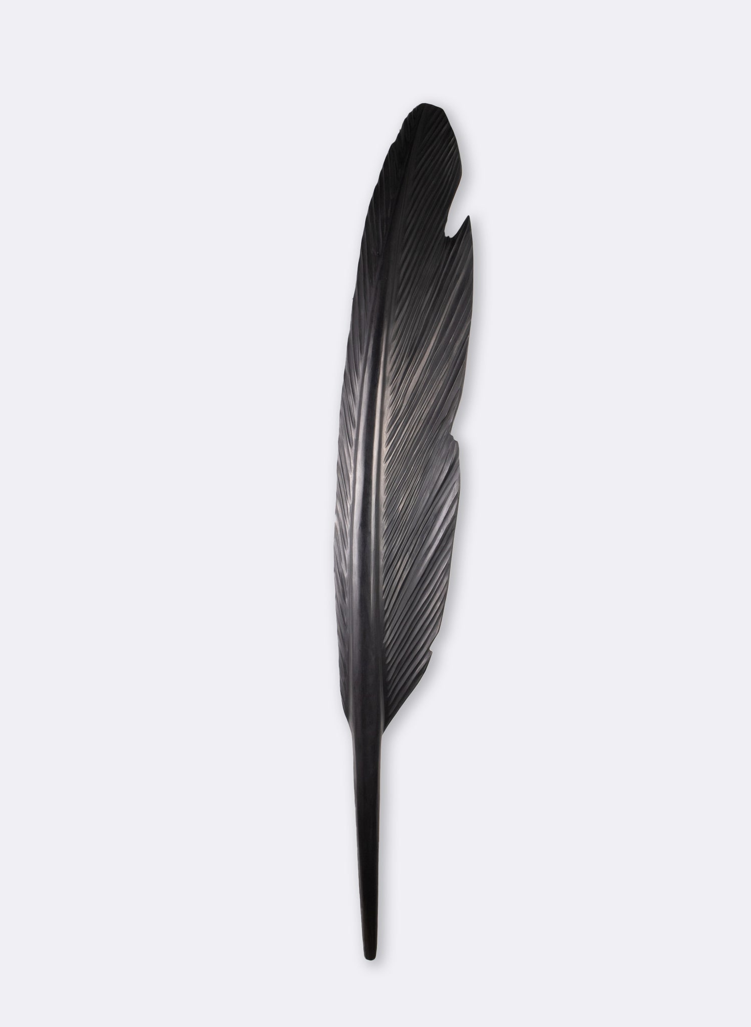 Tui Feather 1650mm - Black Swamp Kauri