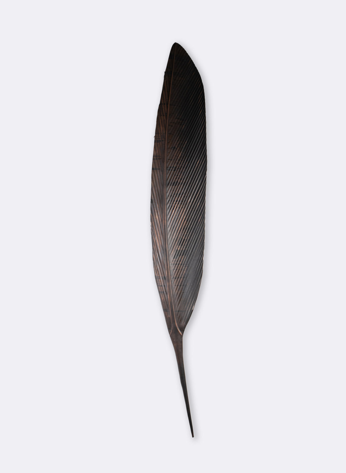 Tui Copper Feather 1320mm