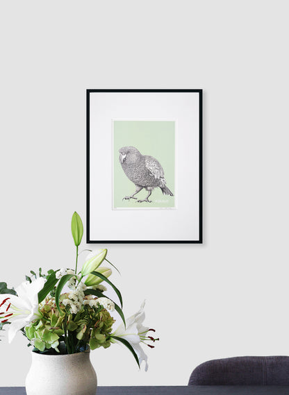 Kākāpō - Digital Print