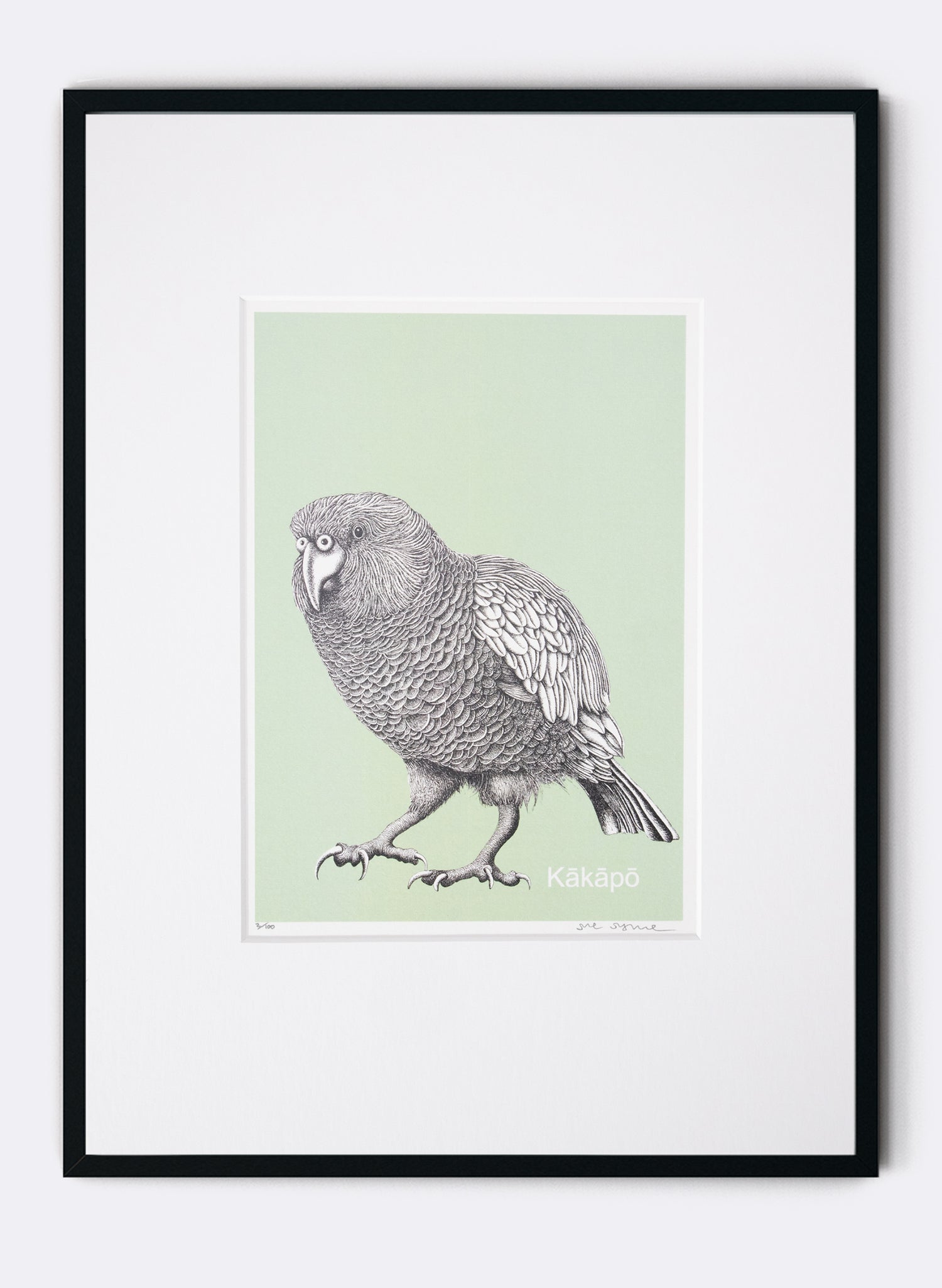 Kākāpō - Digital Print