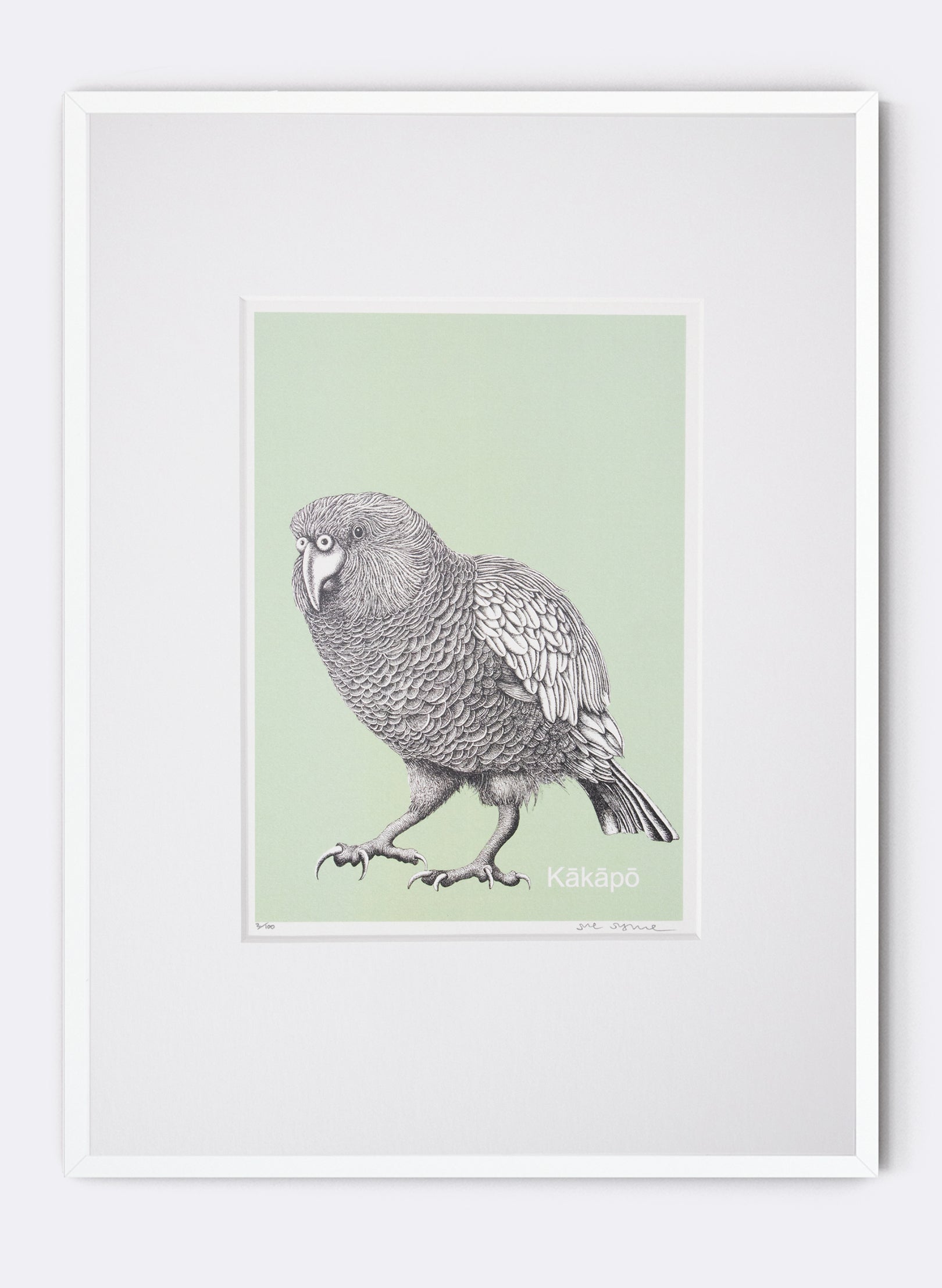 Kākāpō - Digital Print