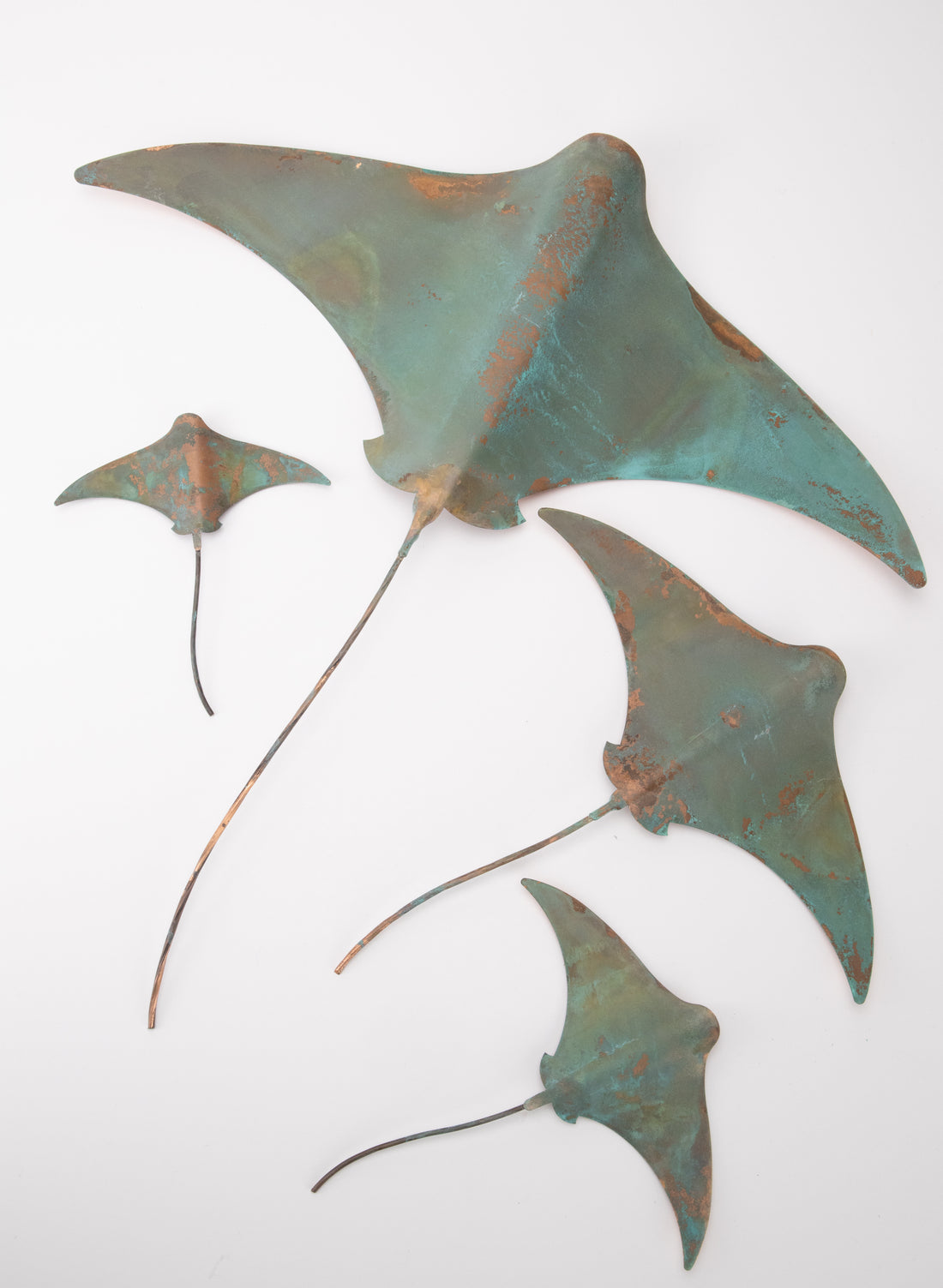 Stingray - Set of 4