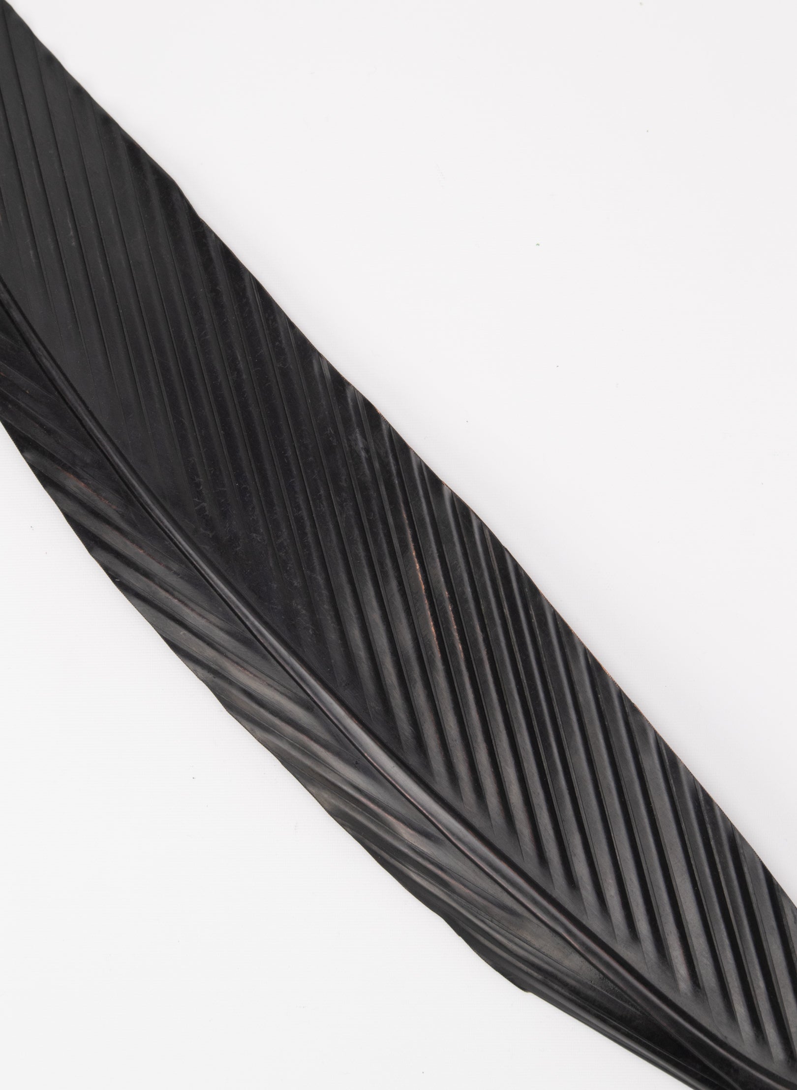 Tui Copper Feather 715mm