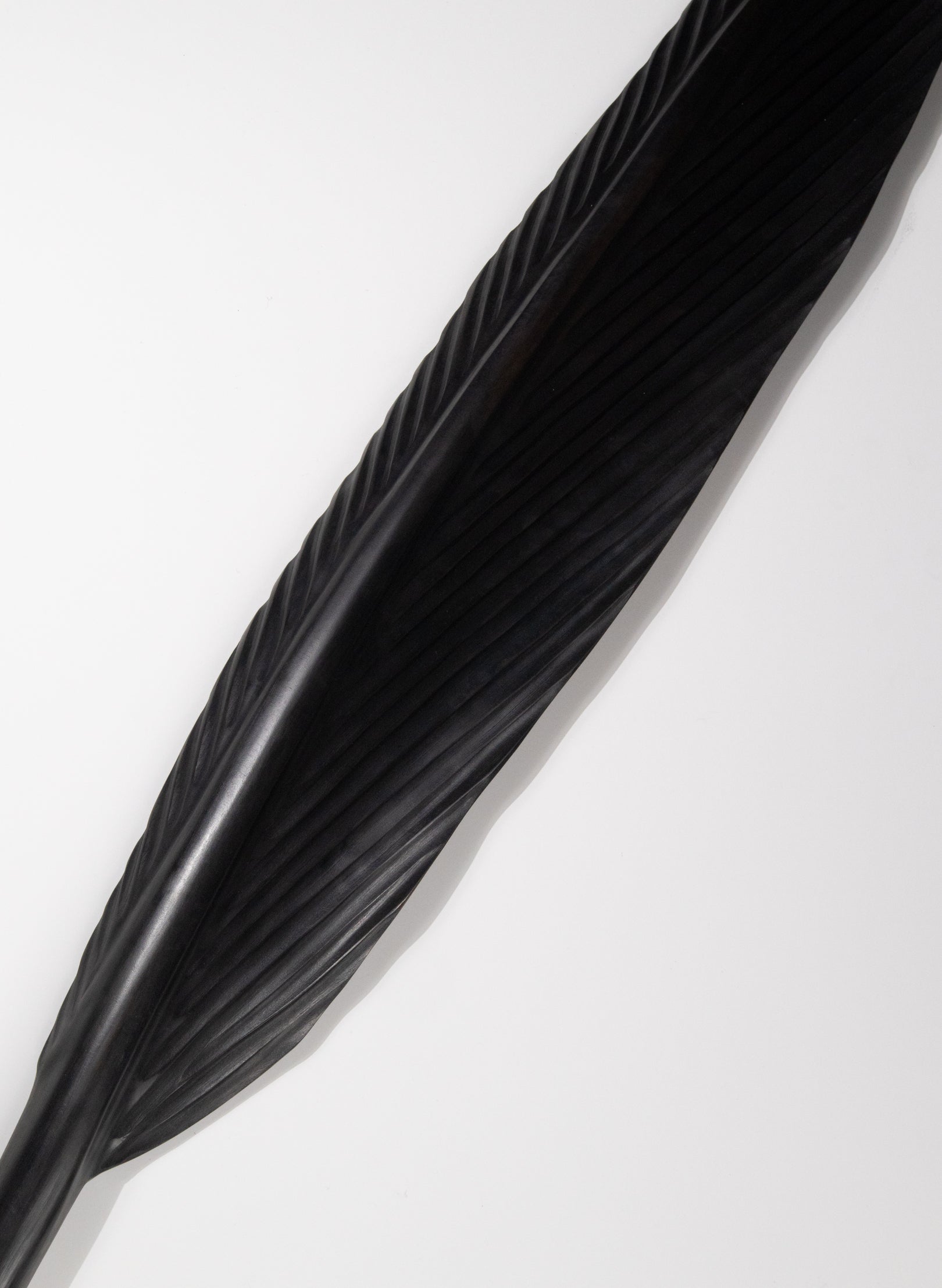 Tui Feather 1515mm - Black Swamp Kauri