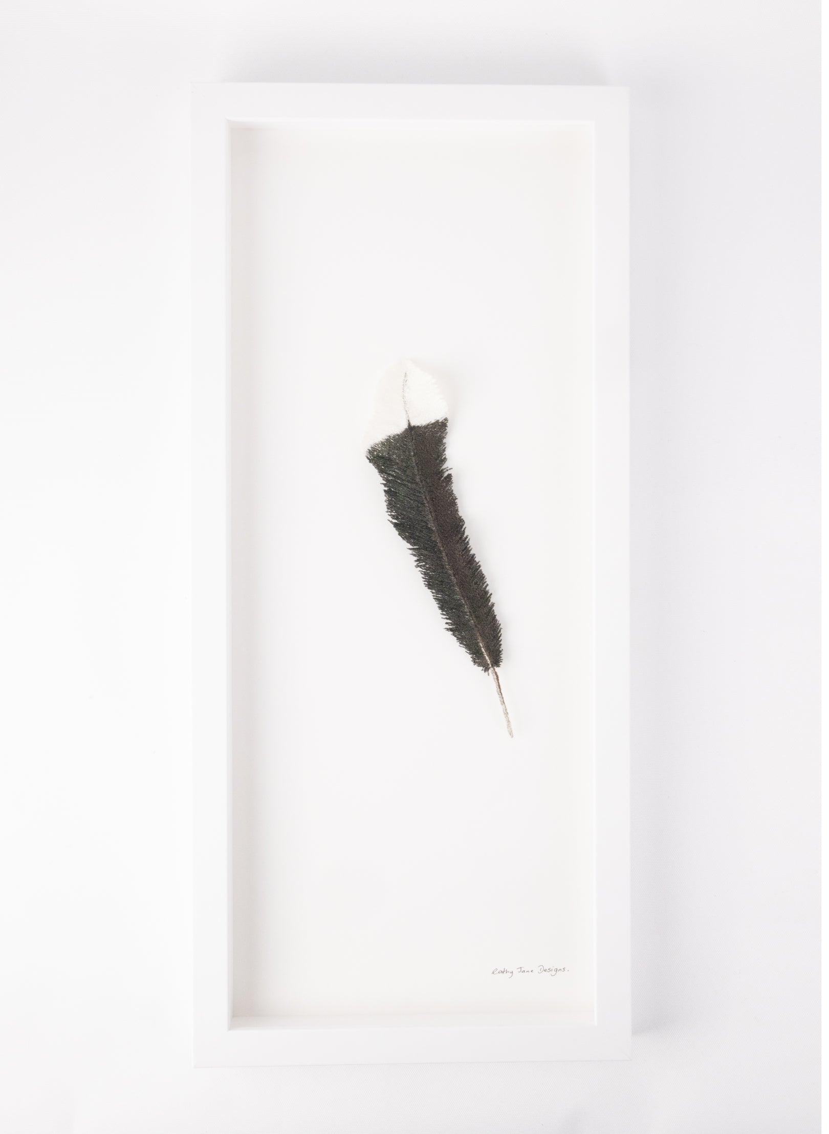 Huia Feather 