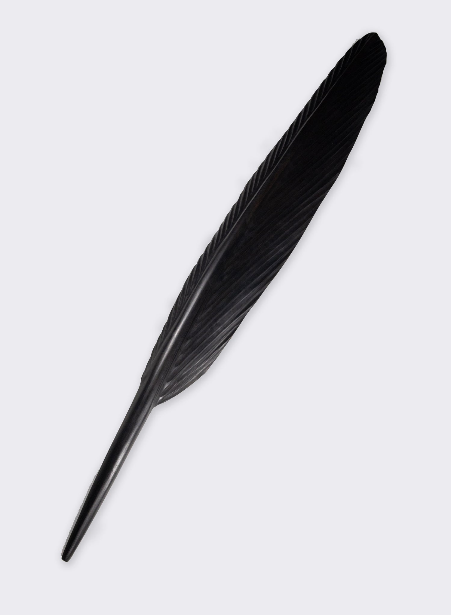 Tui Feather 1515mm - Black Swamp Kauri