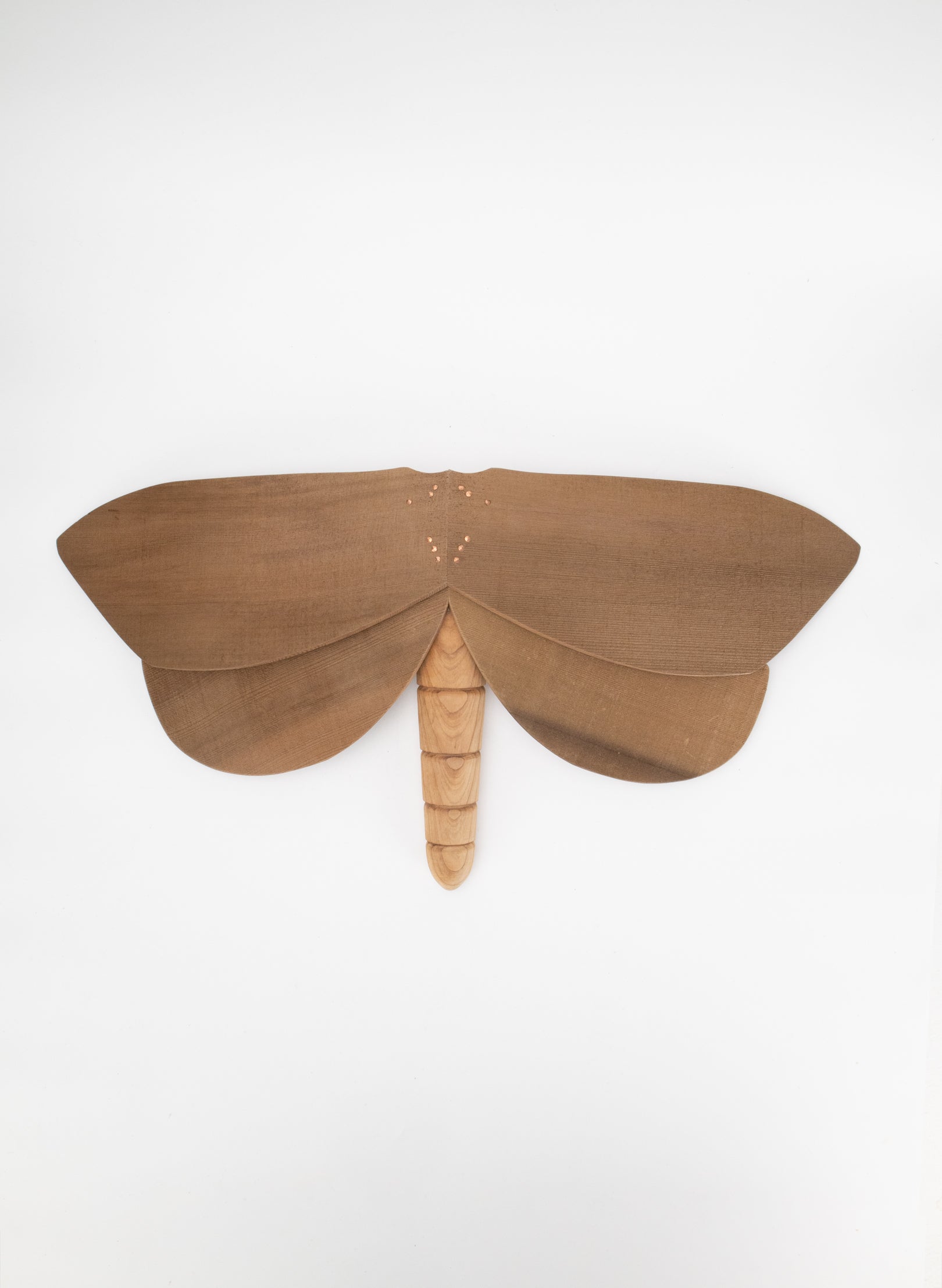 Wooden Moth - 32