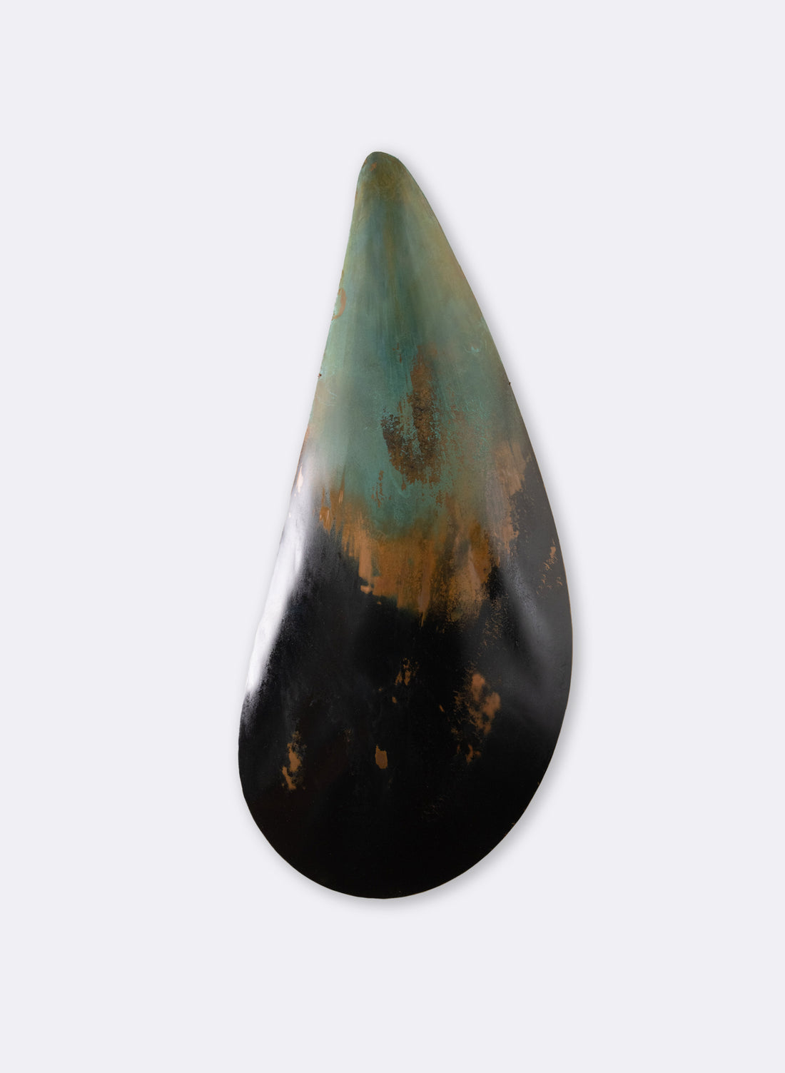 Large Mussel Shell - Black