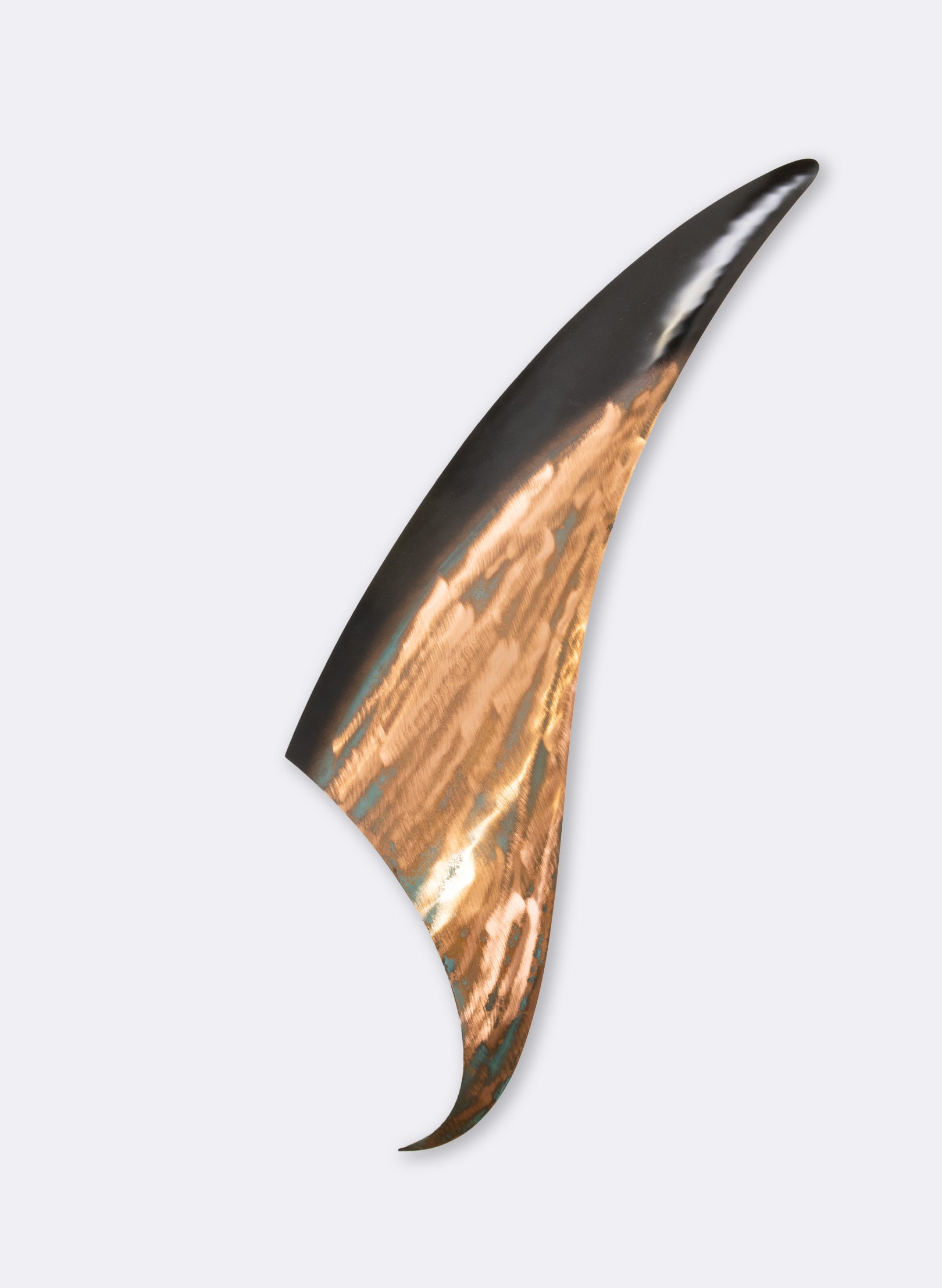 Orca Fin 