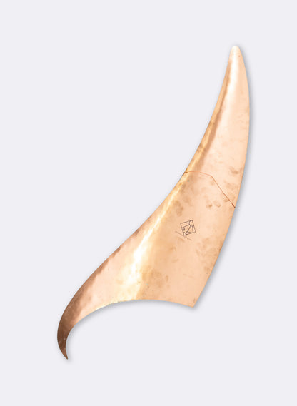 Orca Fin 