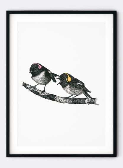 Tomtit w/ Headphones - Giclée Print