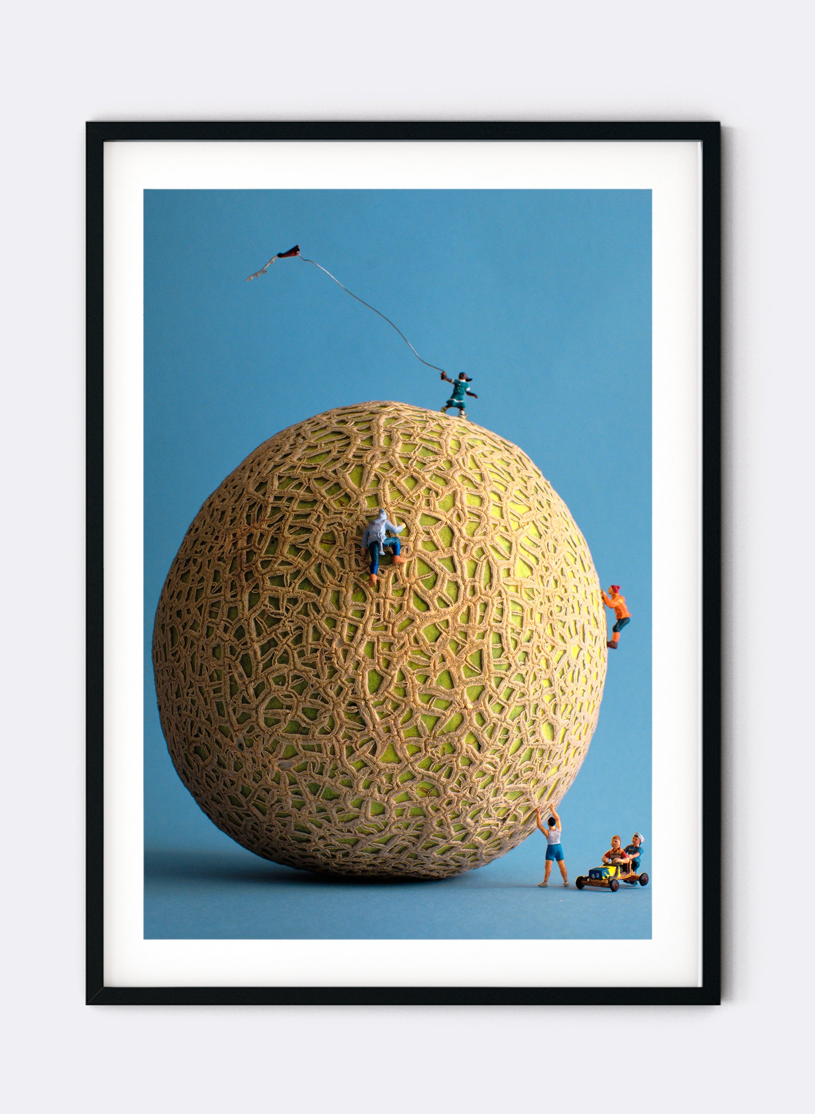 Cantaloopes - Photographic Print