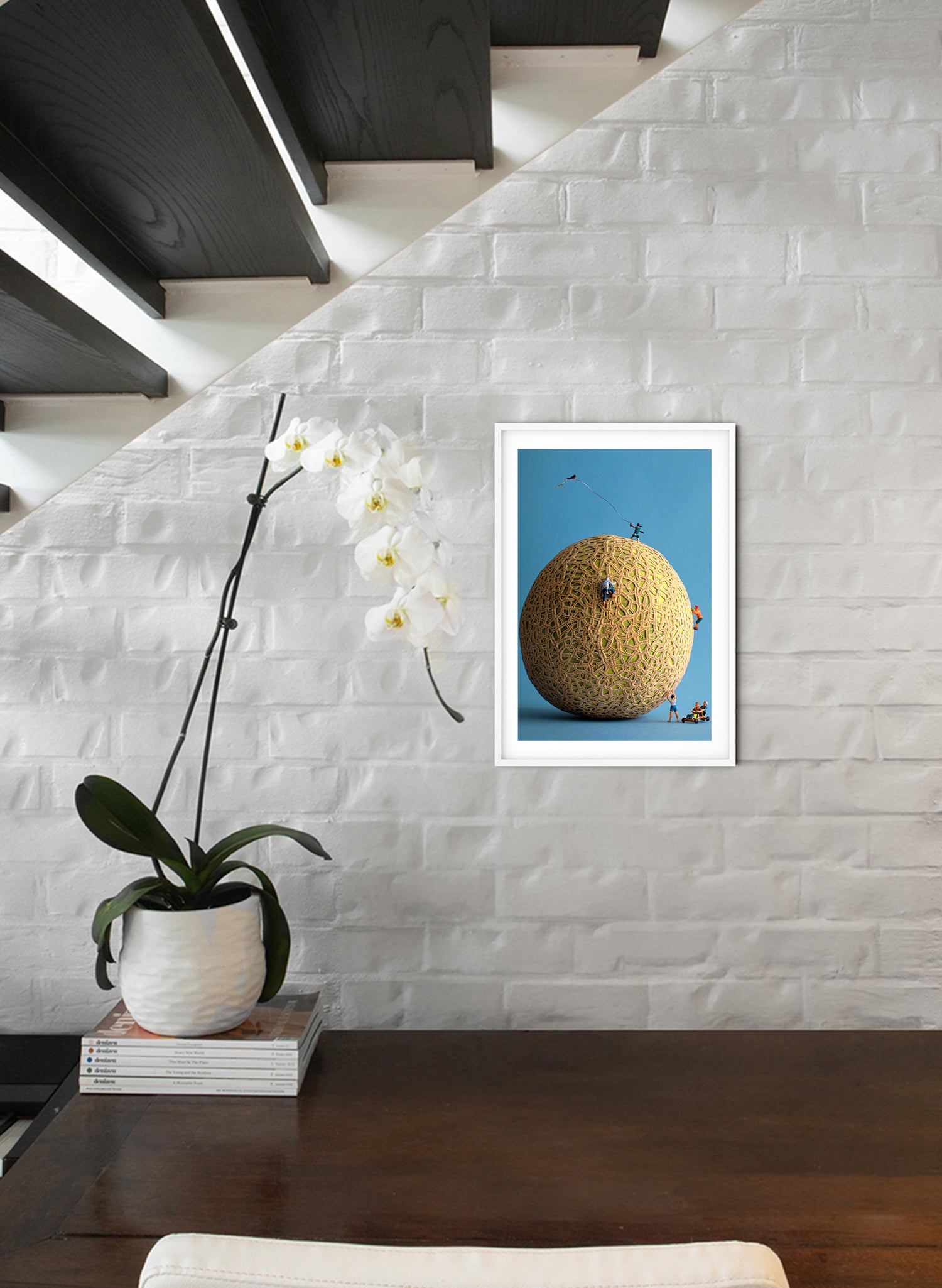 Cantaloopes - Photographic Print