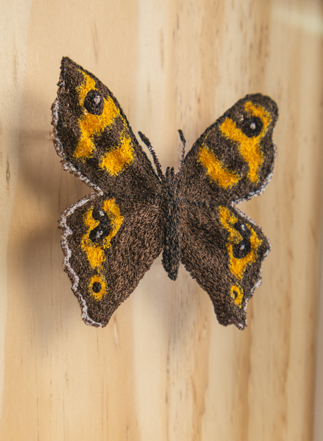 NZ Forest Ringlet Butterfly - 3D Embroidery