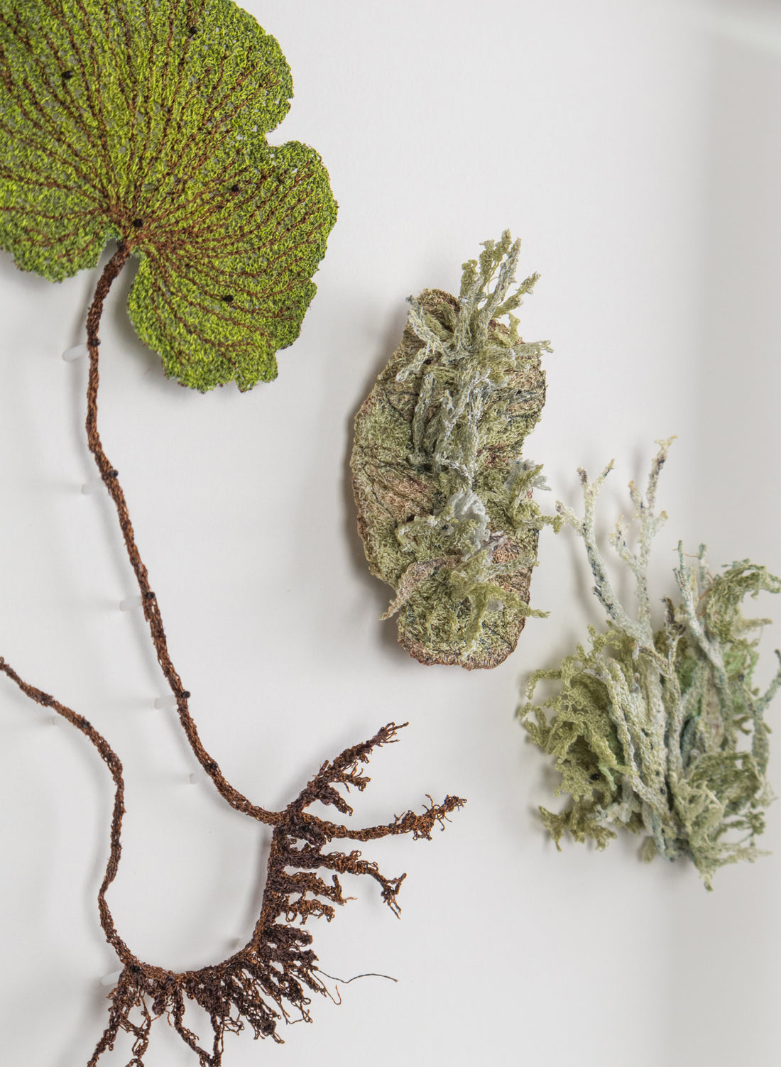 NZ Kidney Fern &amp; Lichens - 3D Embroidery