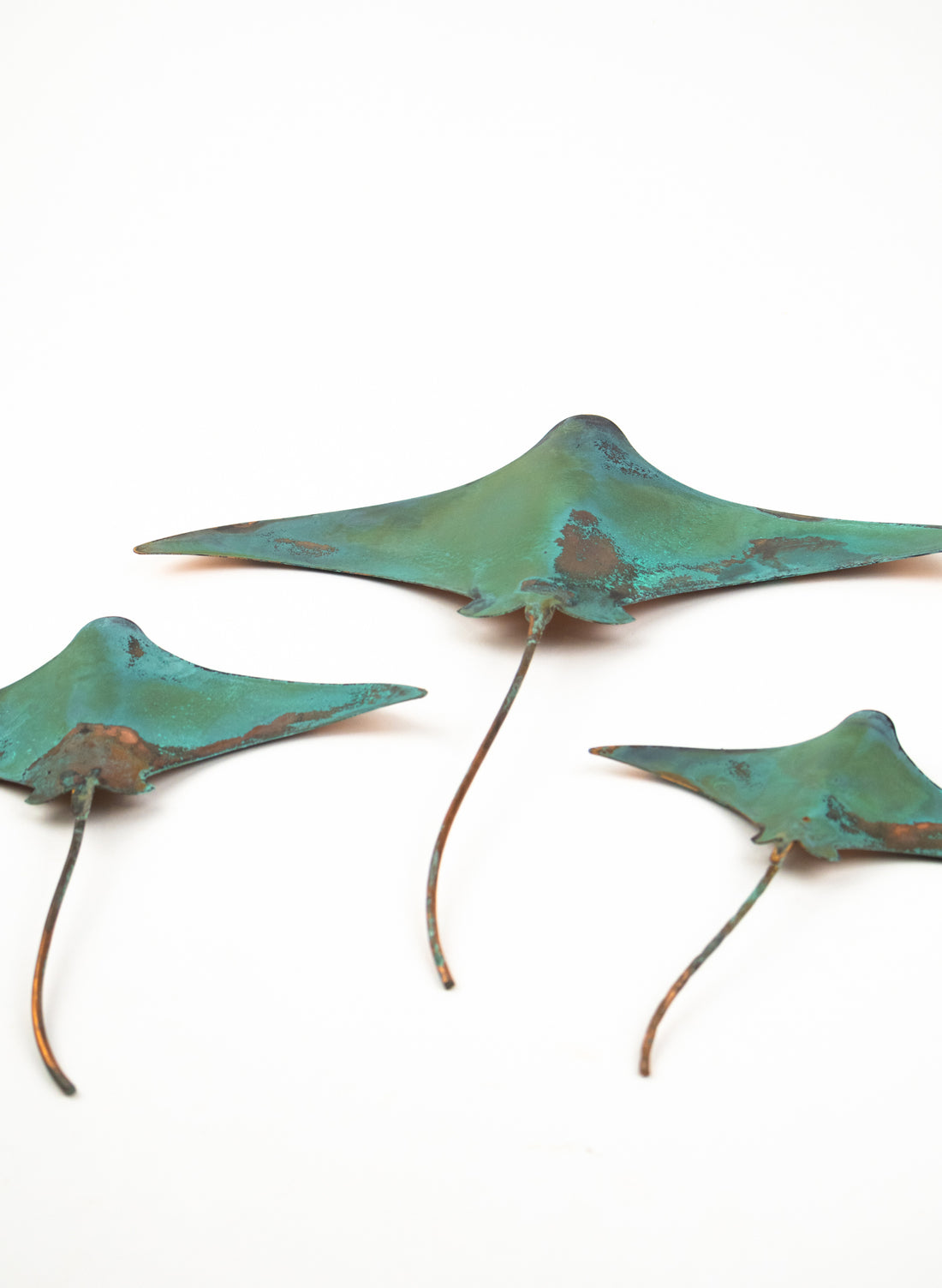 Stingray - Set of 3 