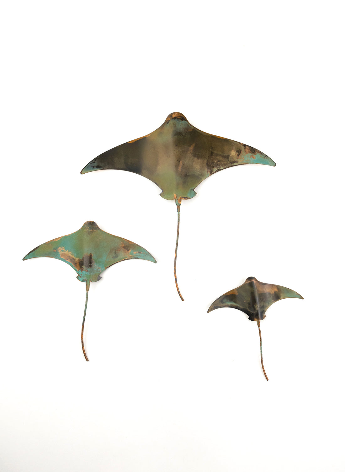 Stingray - Set of 3 