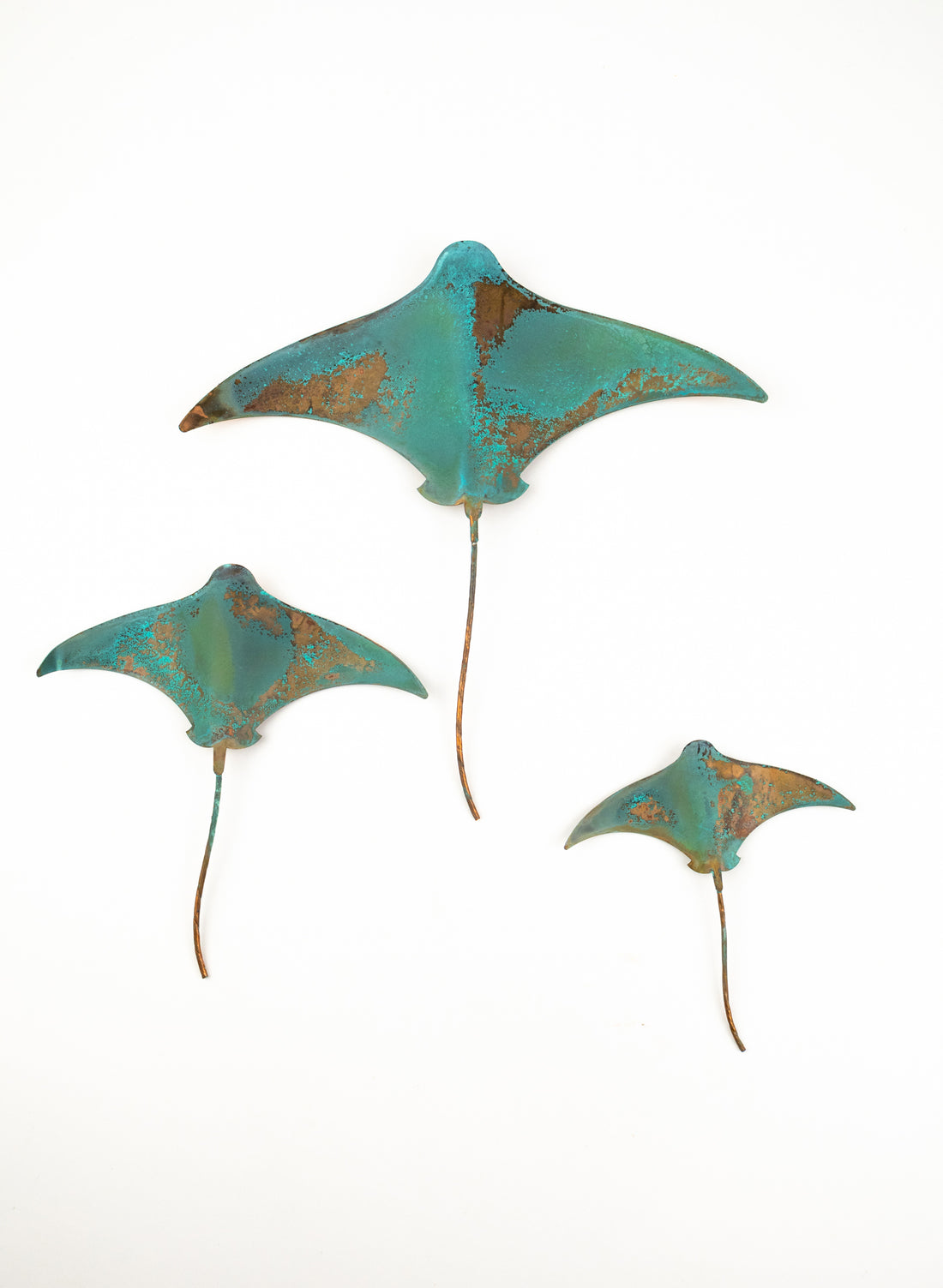 Stingray - Set of 3 