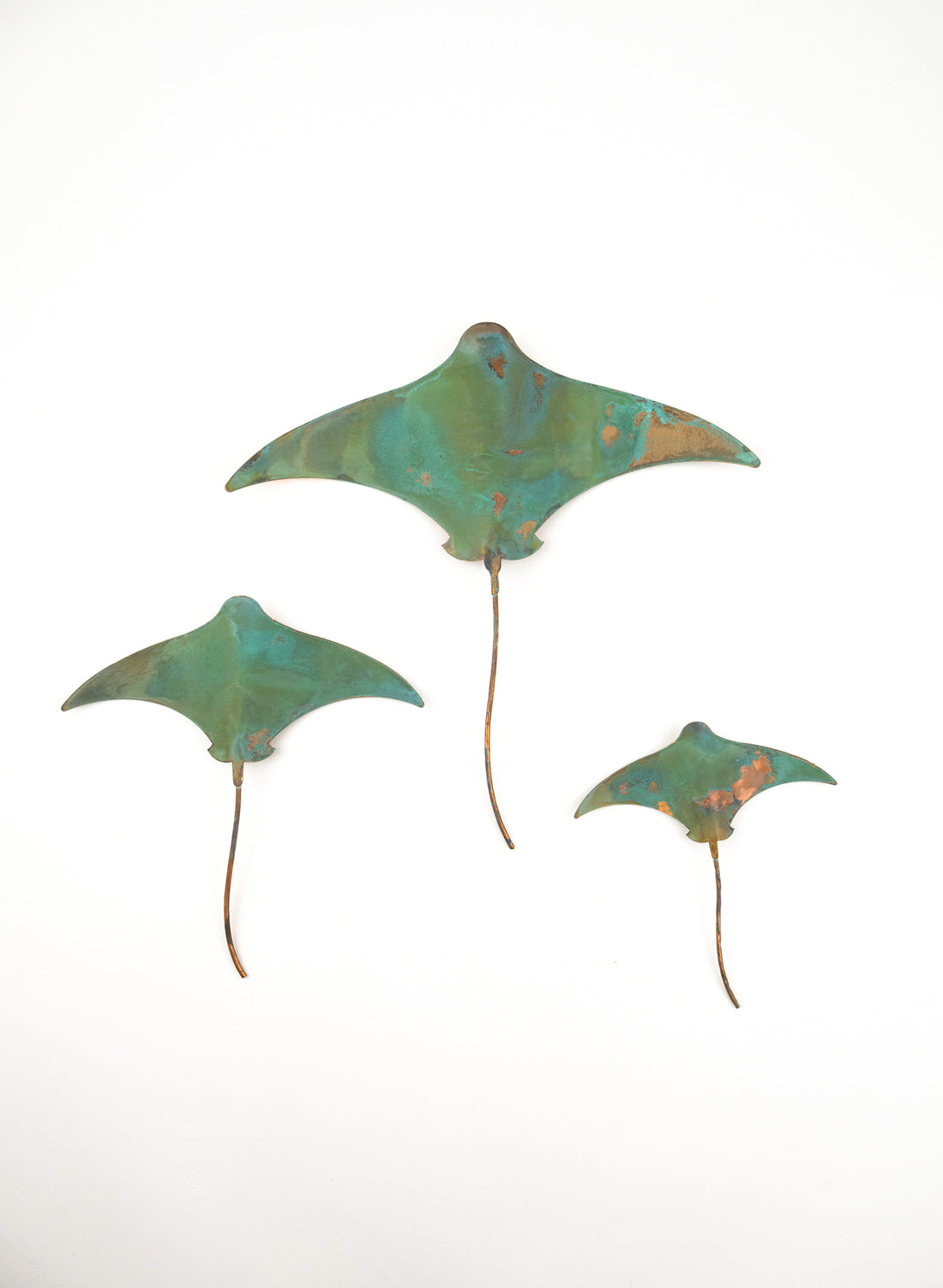 Stingray - Set of 3 