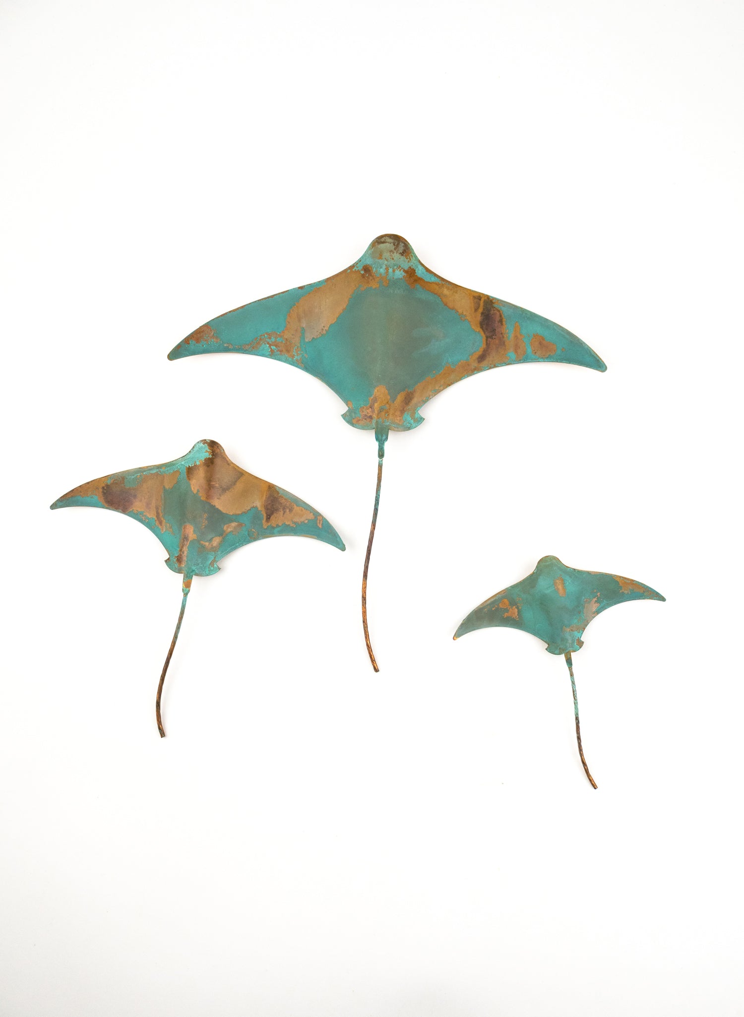 Stingray - Set of 3 