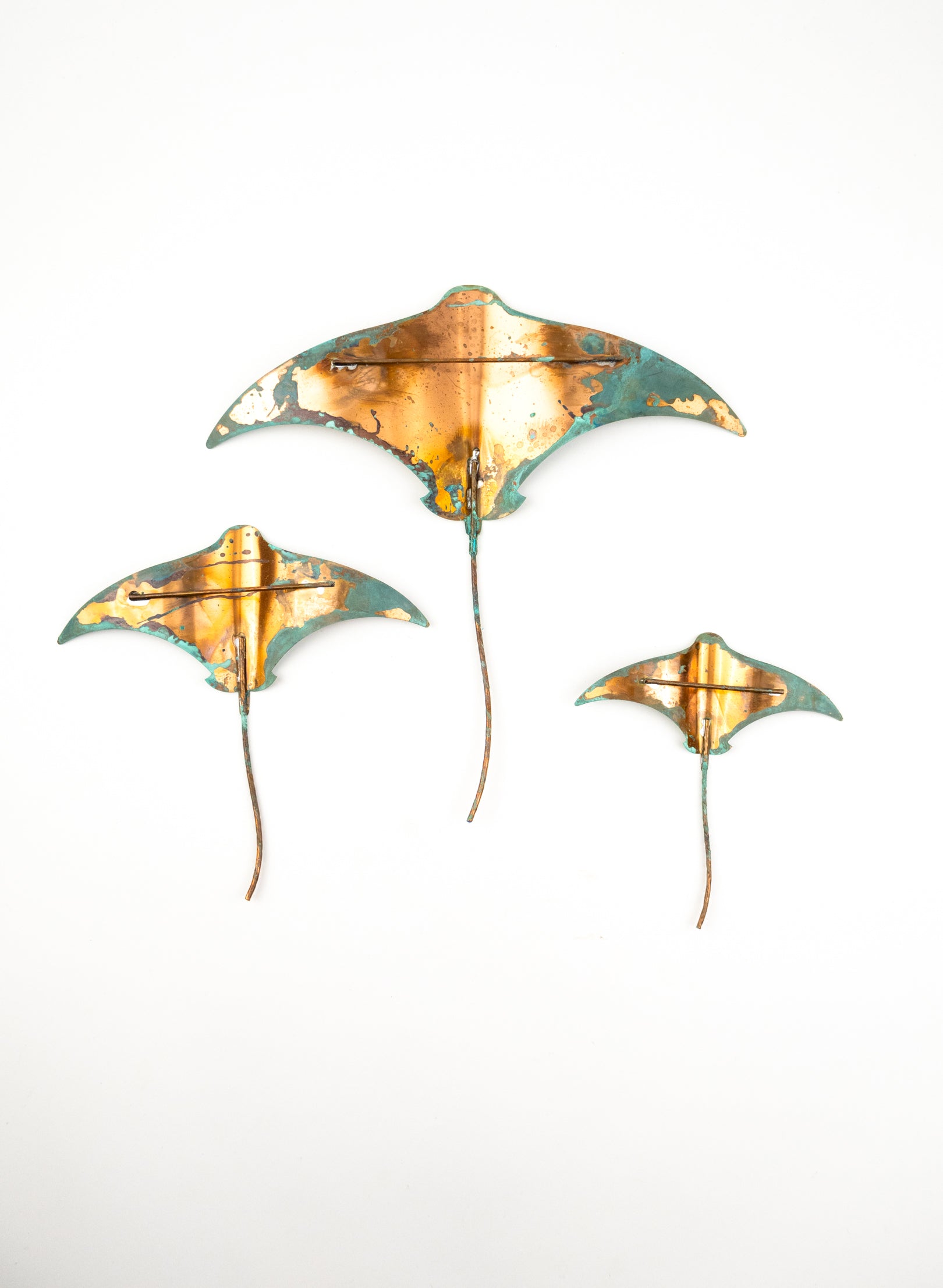 Stingray - Set of 3 