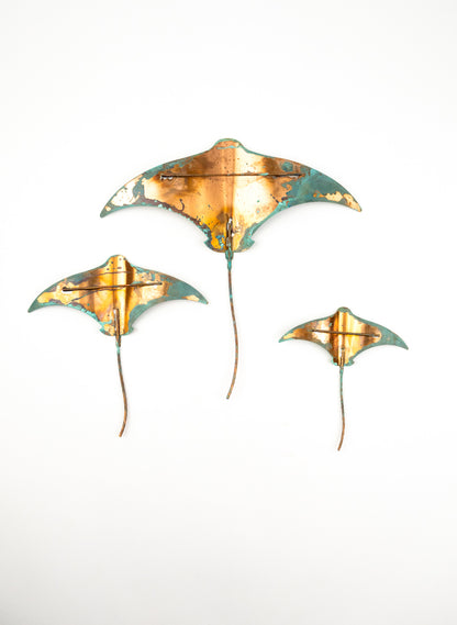 Stingray - Set of 3 