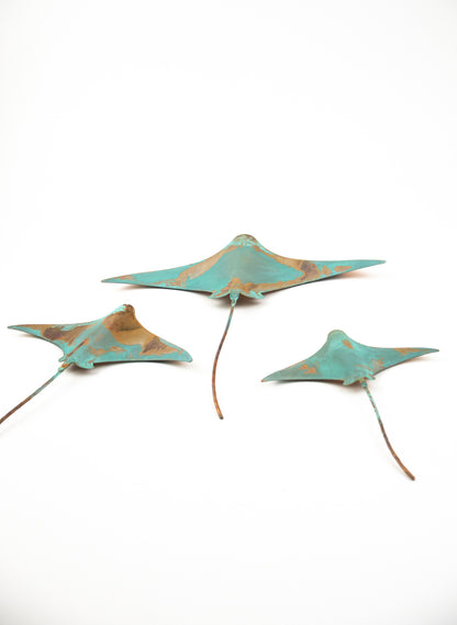 Stingray - Set of 3 