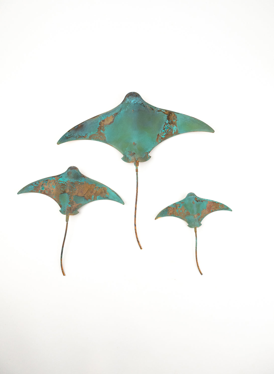 Stingray - Set of 3 