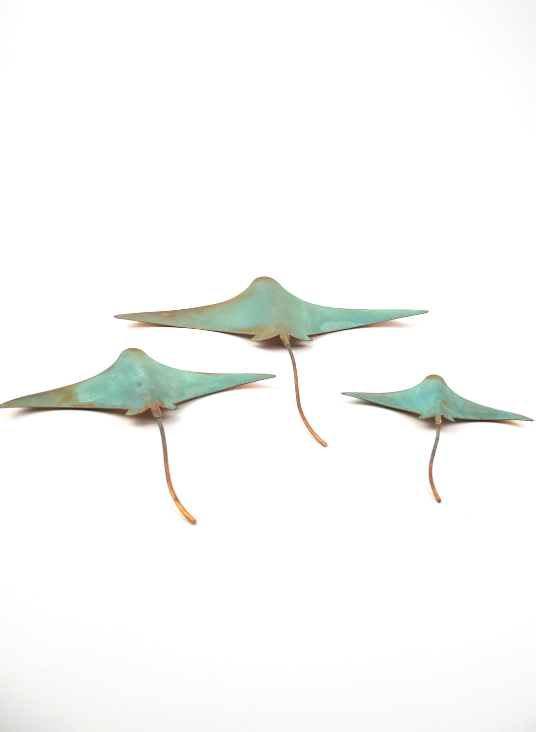 Stingray - Set of 3 