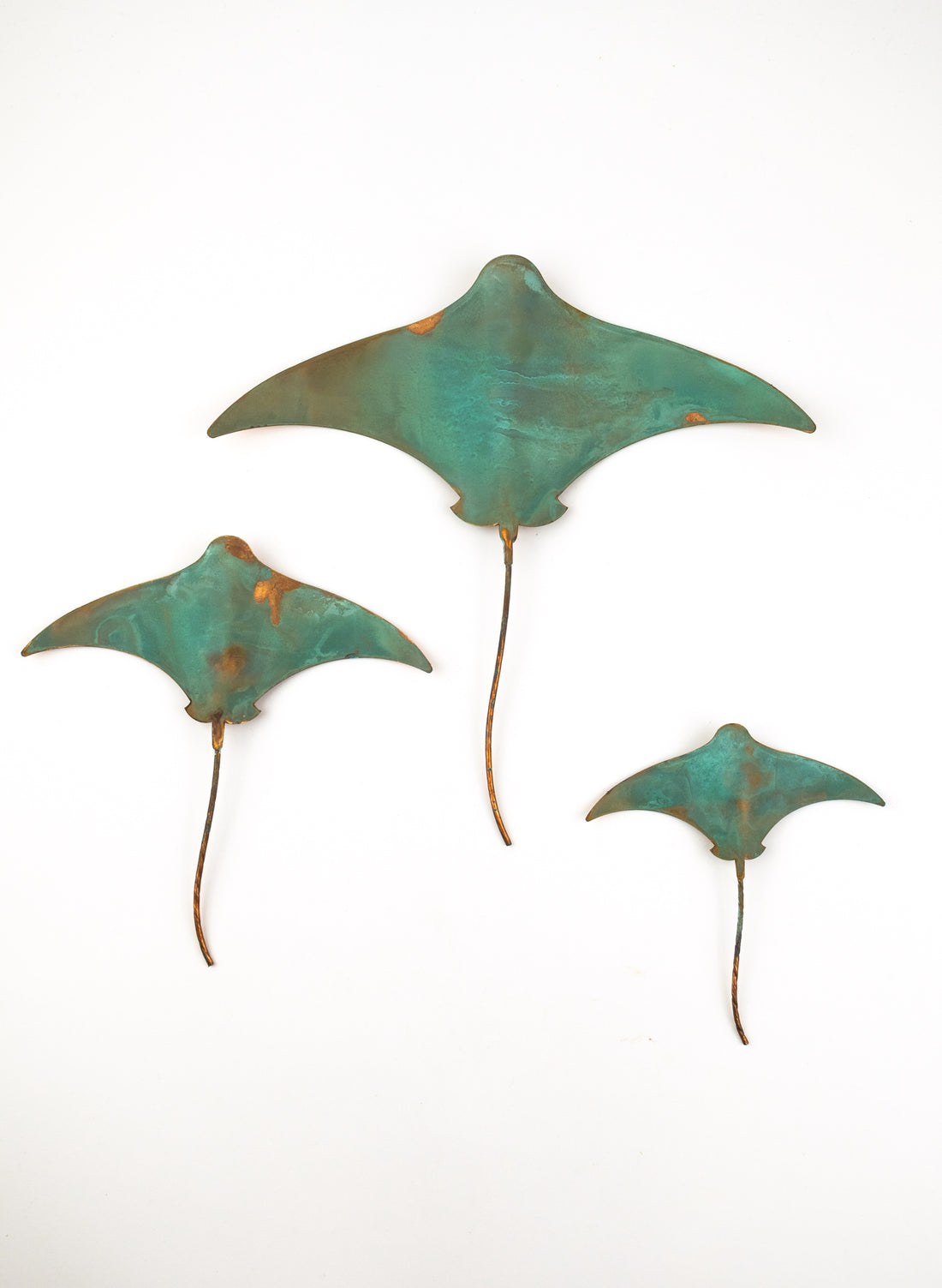 Stingray - Set of 3 