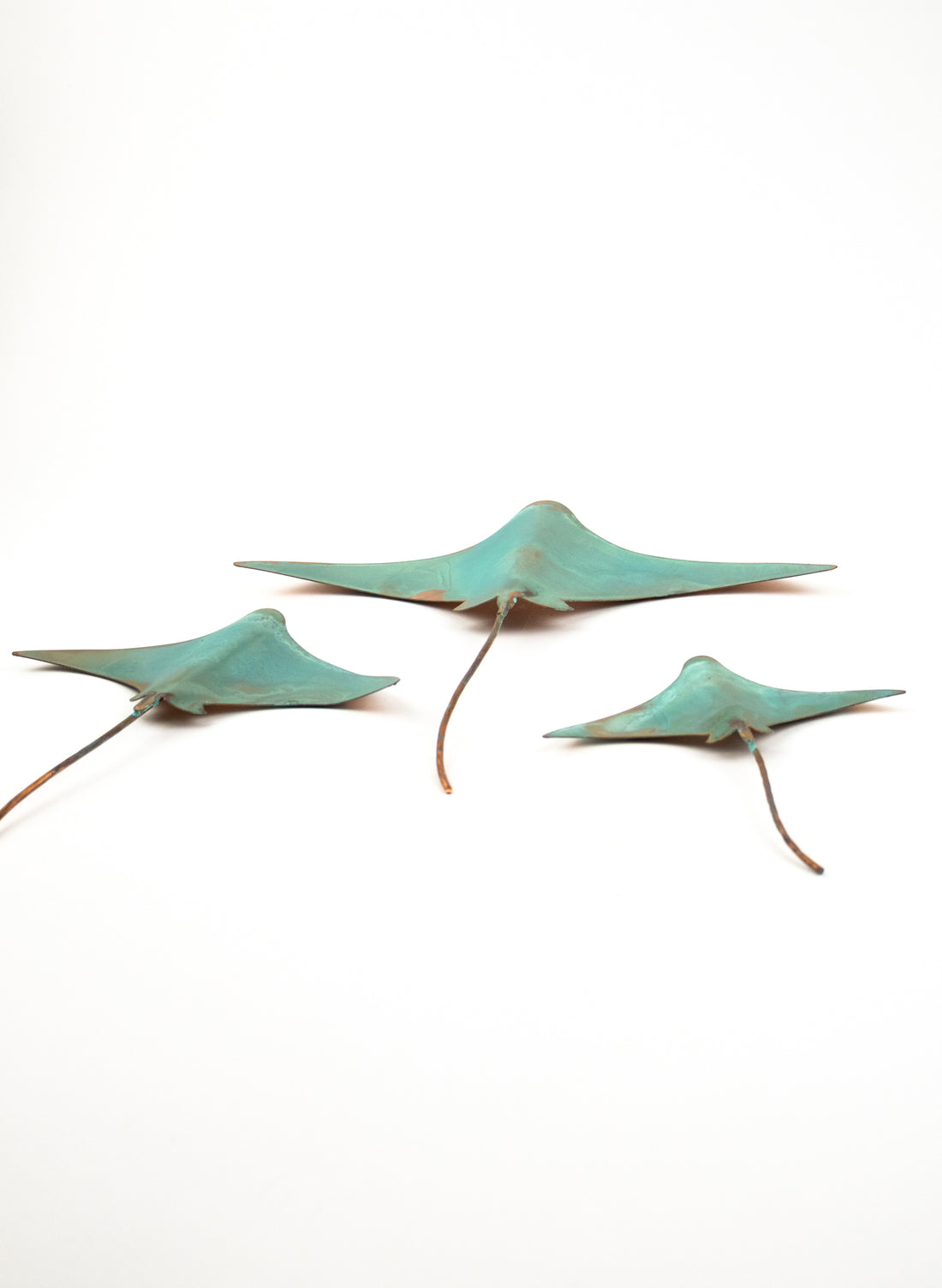 Stingray - Set of 3 