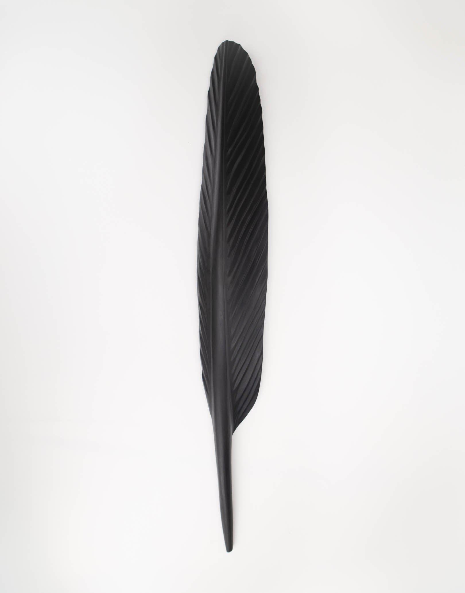 Tui Feather 1190mm - Black Swamp Kauri