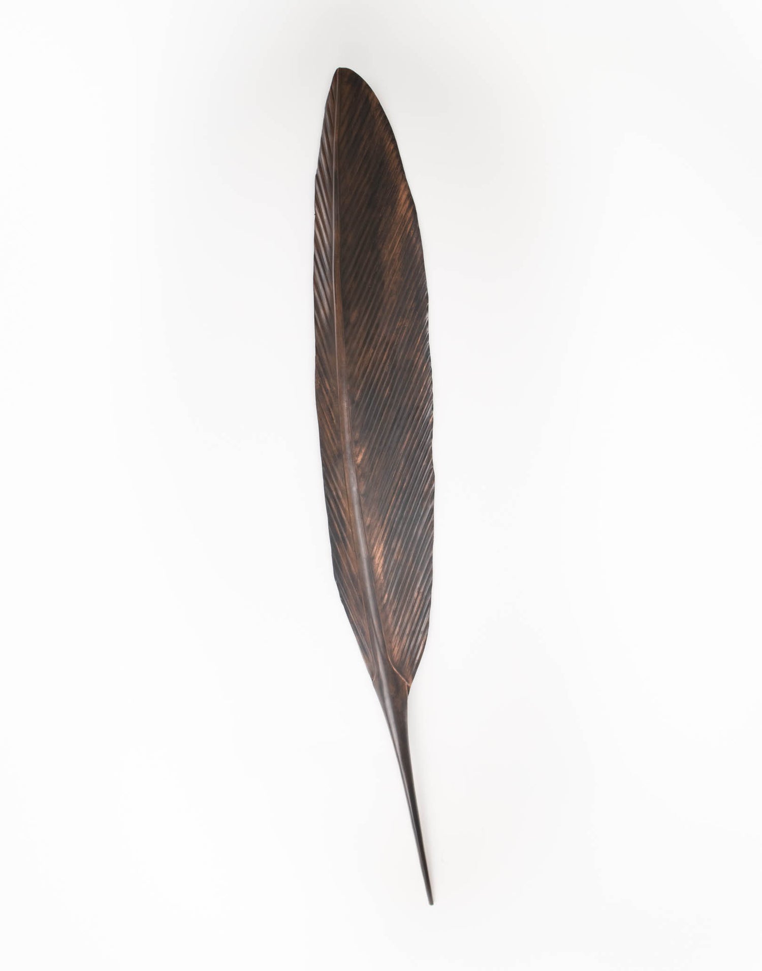 Tui Copper Feather 1235mm