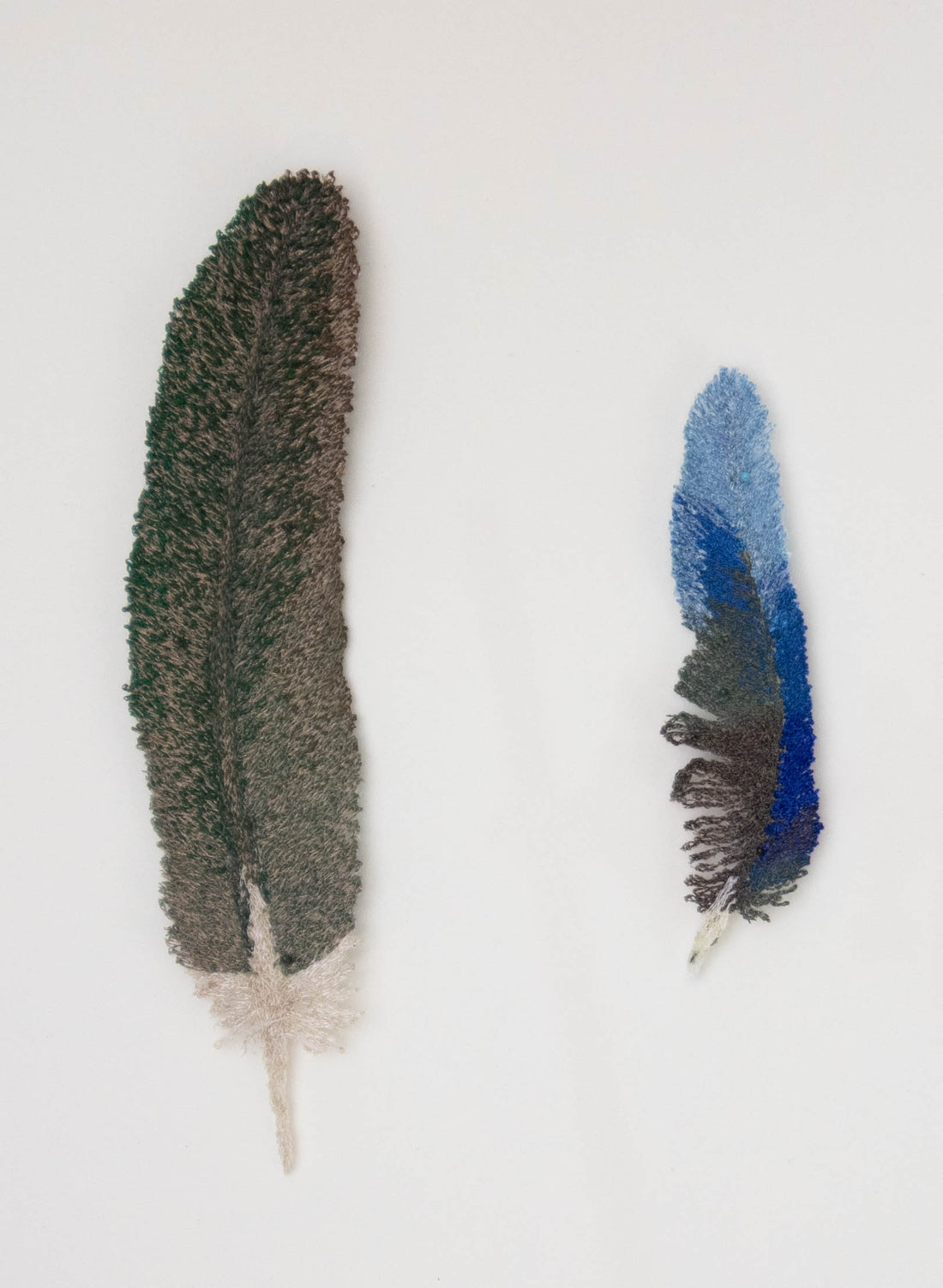 NZ Bird Feathers 