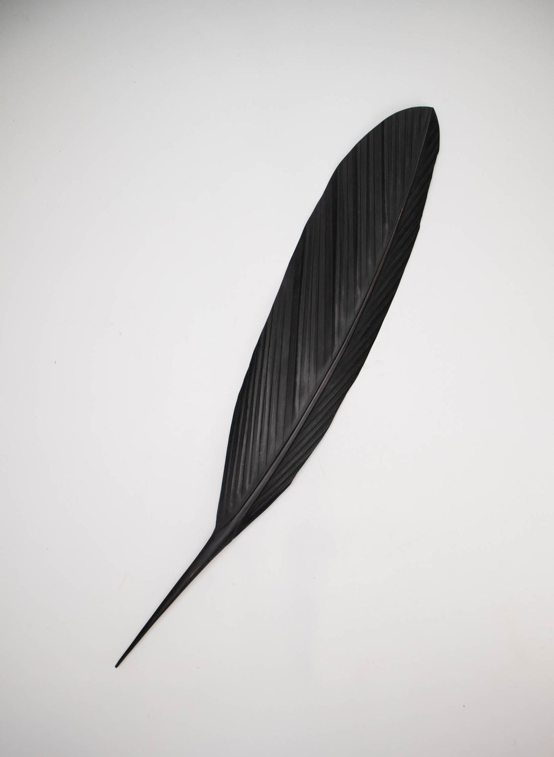 Tui Copper Feather 740mm