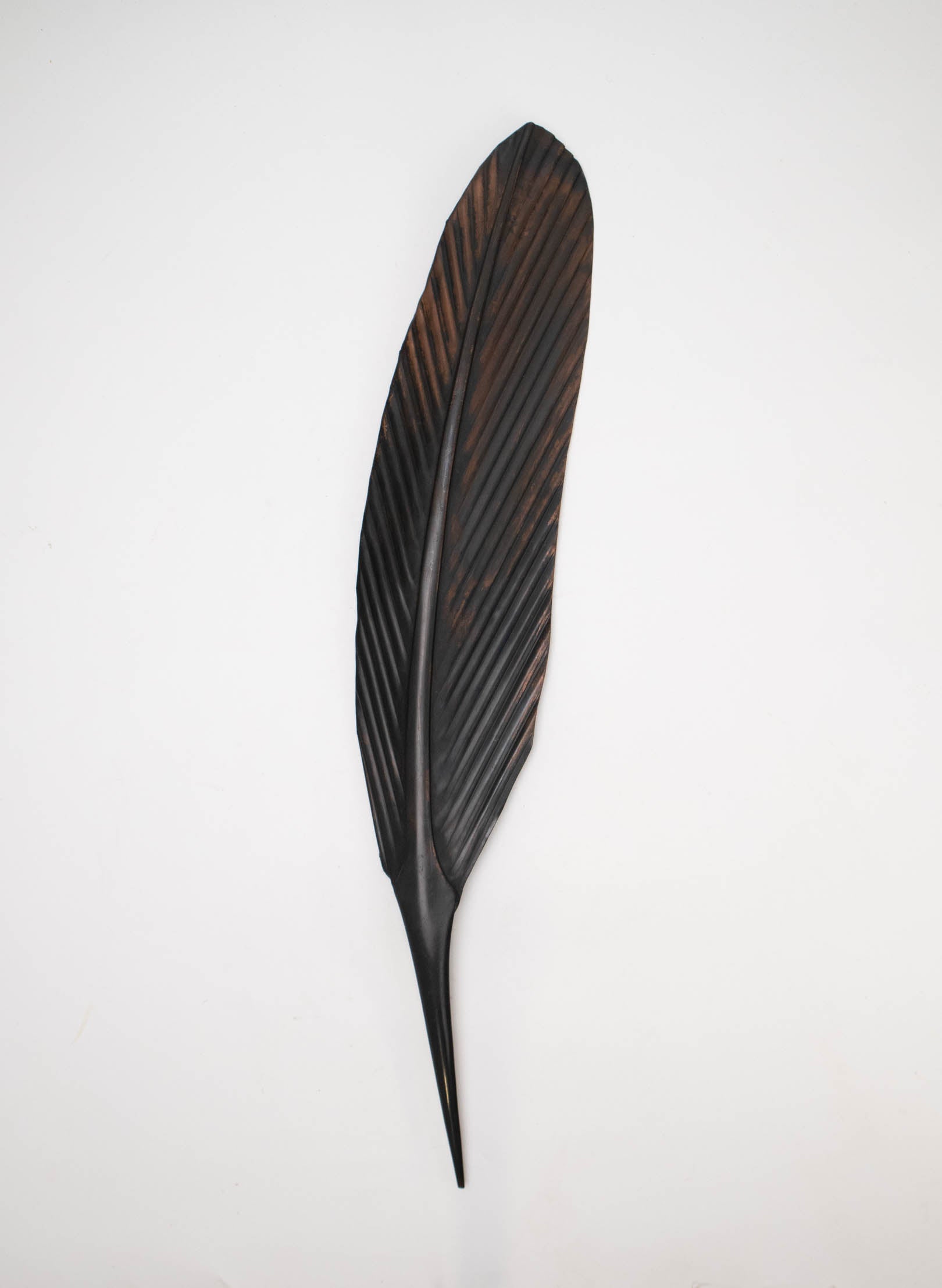 Tui Copper Feather 615mm