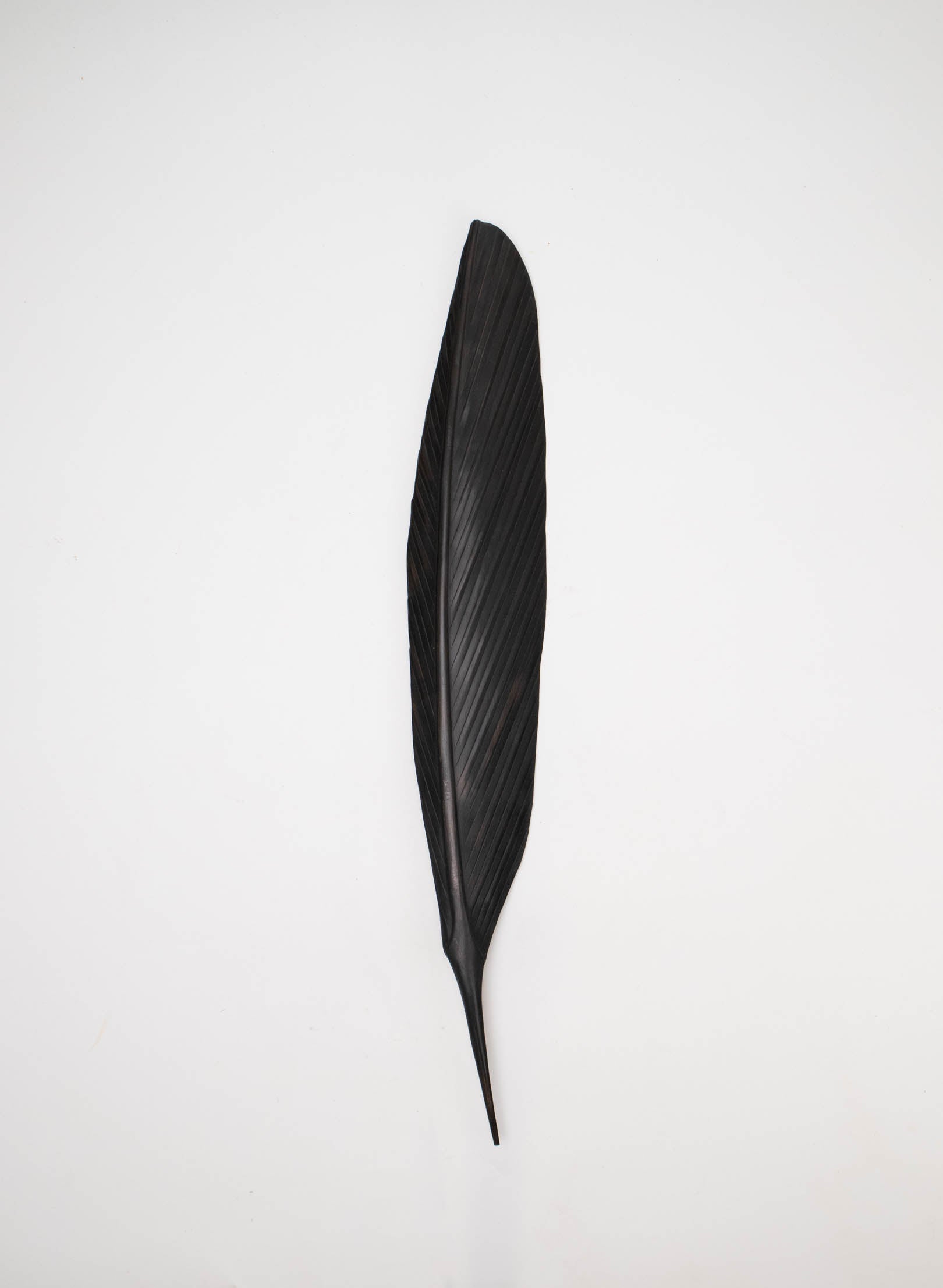 Tui Copper Feather 550mm