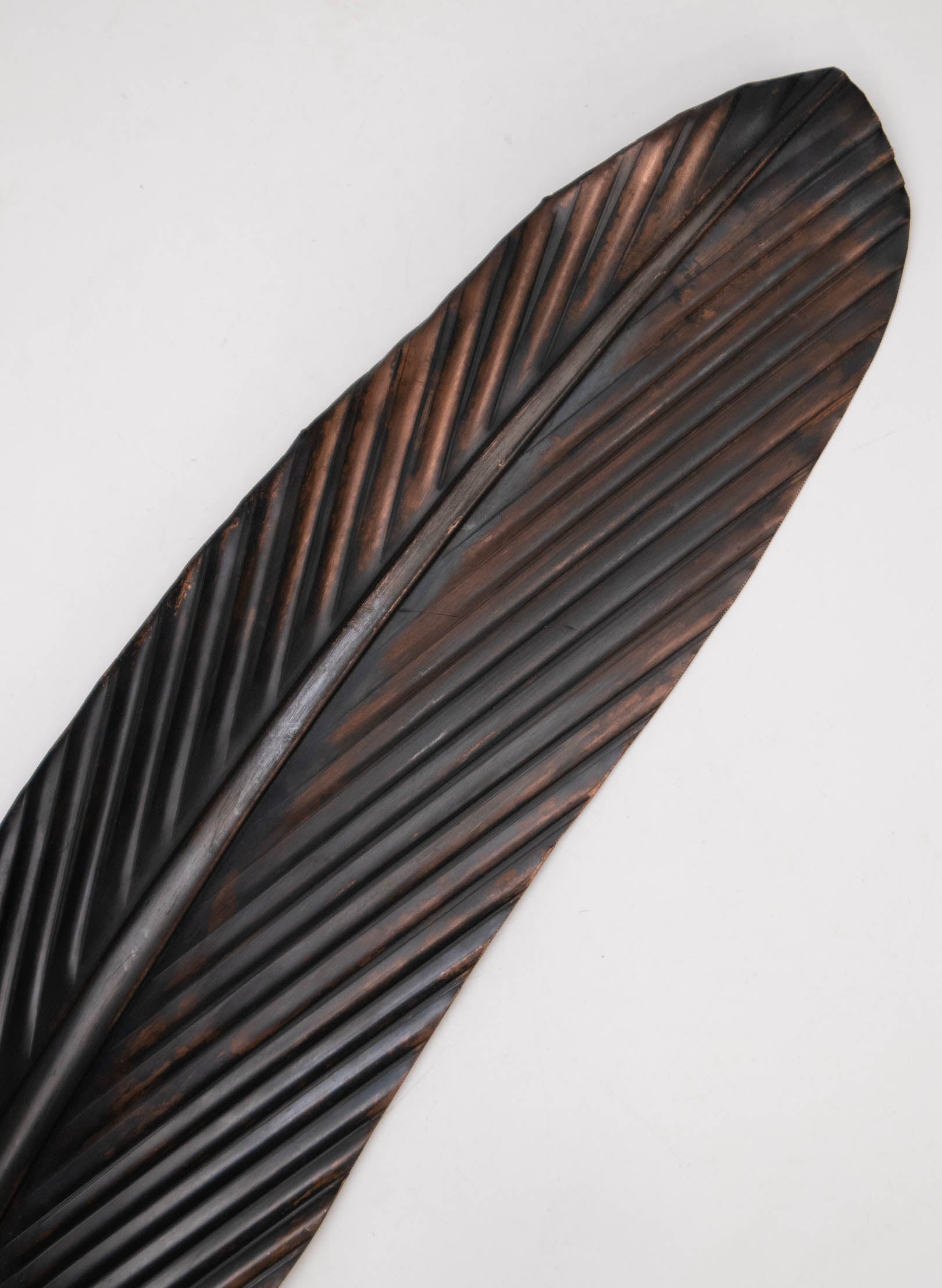 Tui Copper Feather 615mm