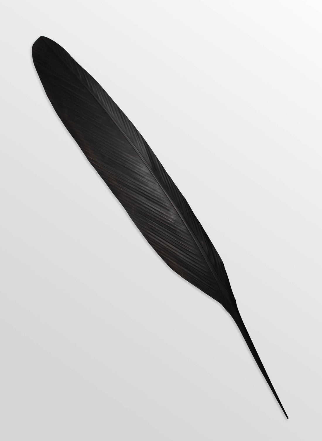 Tui Copper Feather 1410mm