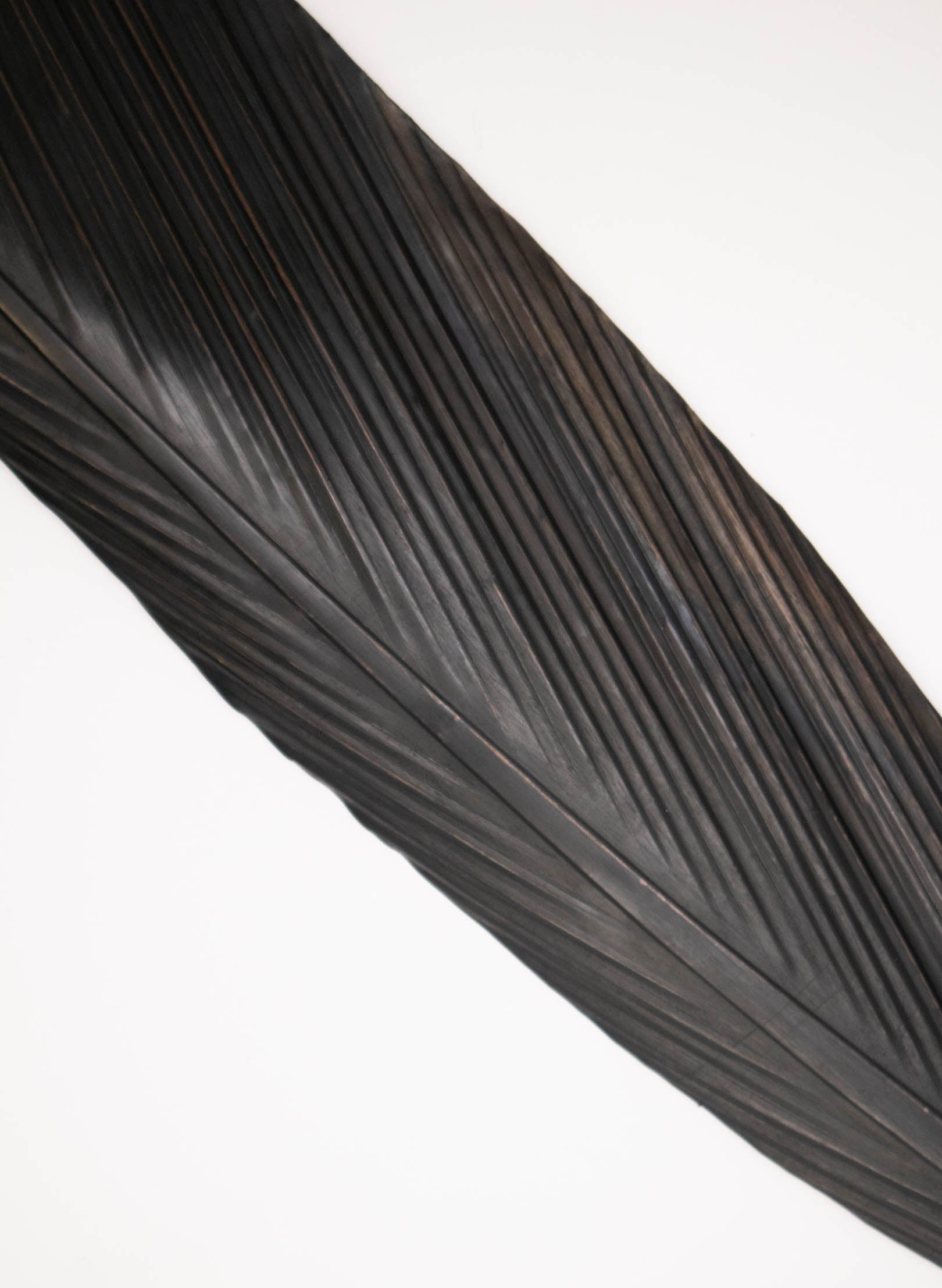 Tui Copper Feather 1265mm