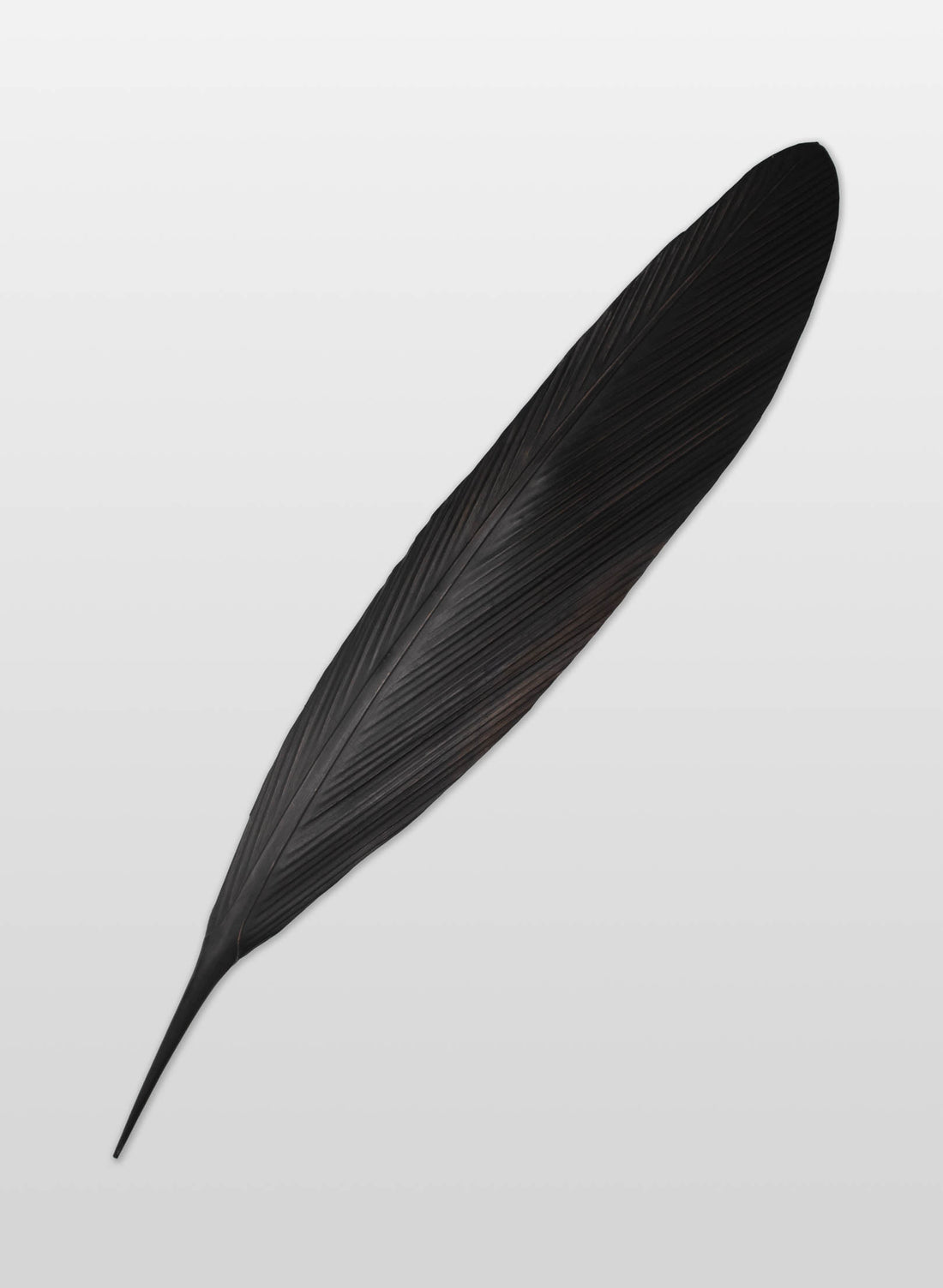 Tui Copper Feather 995mm