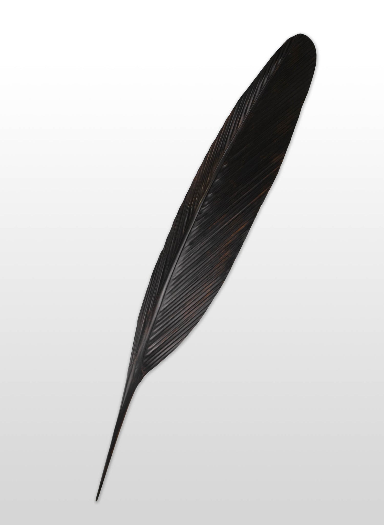 Tui Copper Feather 1220mm