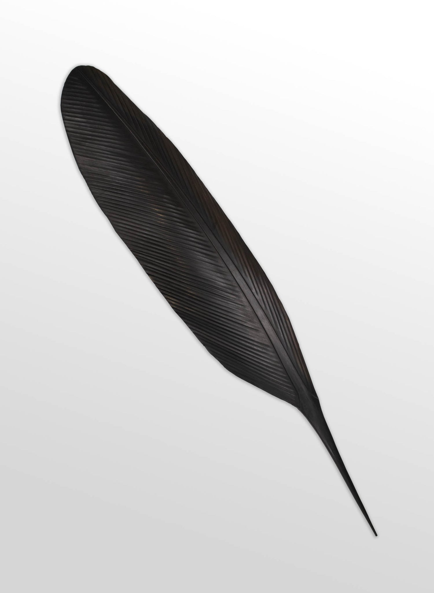 Tui Copper Feather 1240mm