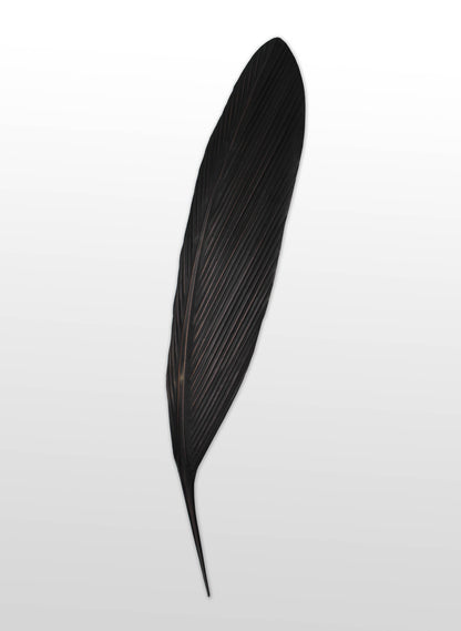 Tui Copper Feather 1265mm