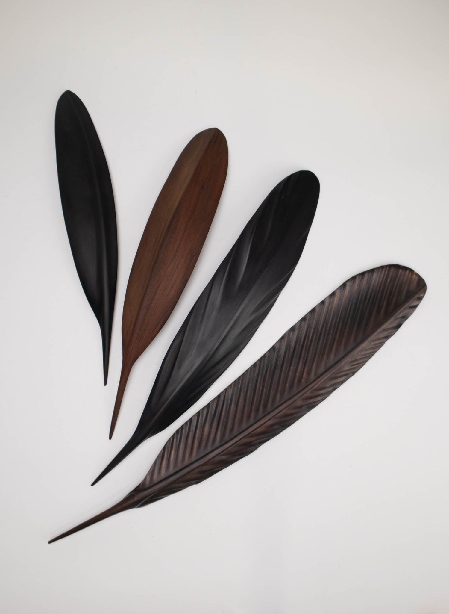 Tui Feather 430mm - Black Swamp Kauri