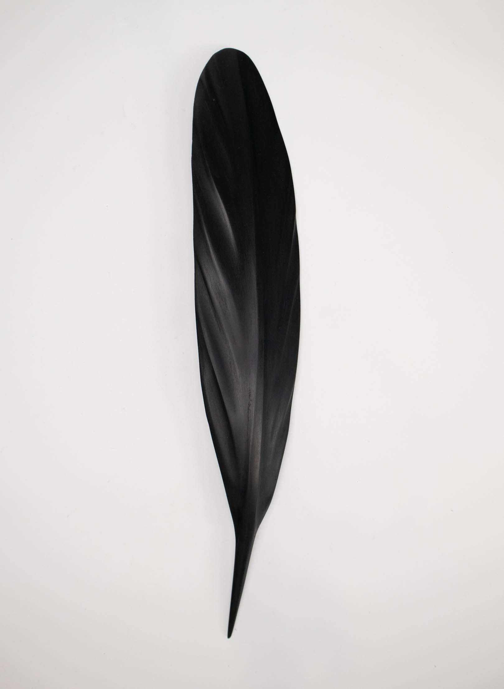 Tui Feather 430mm - Black Swamp Kauri