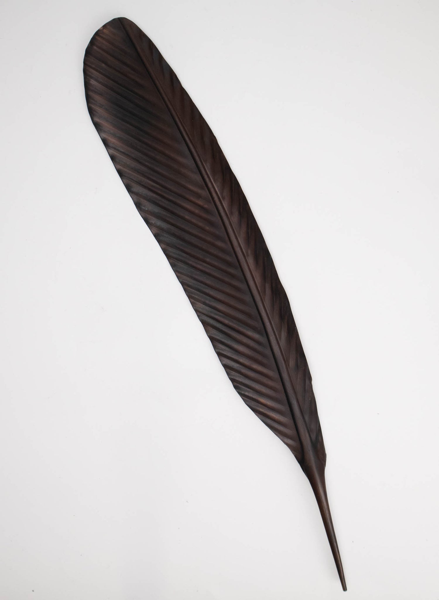 Tui Copper Feather 510mm