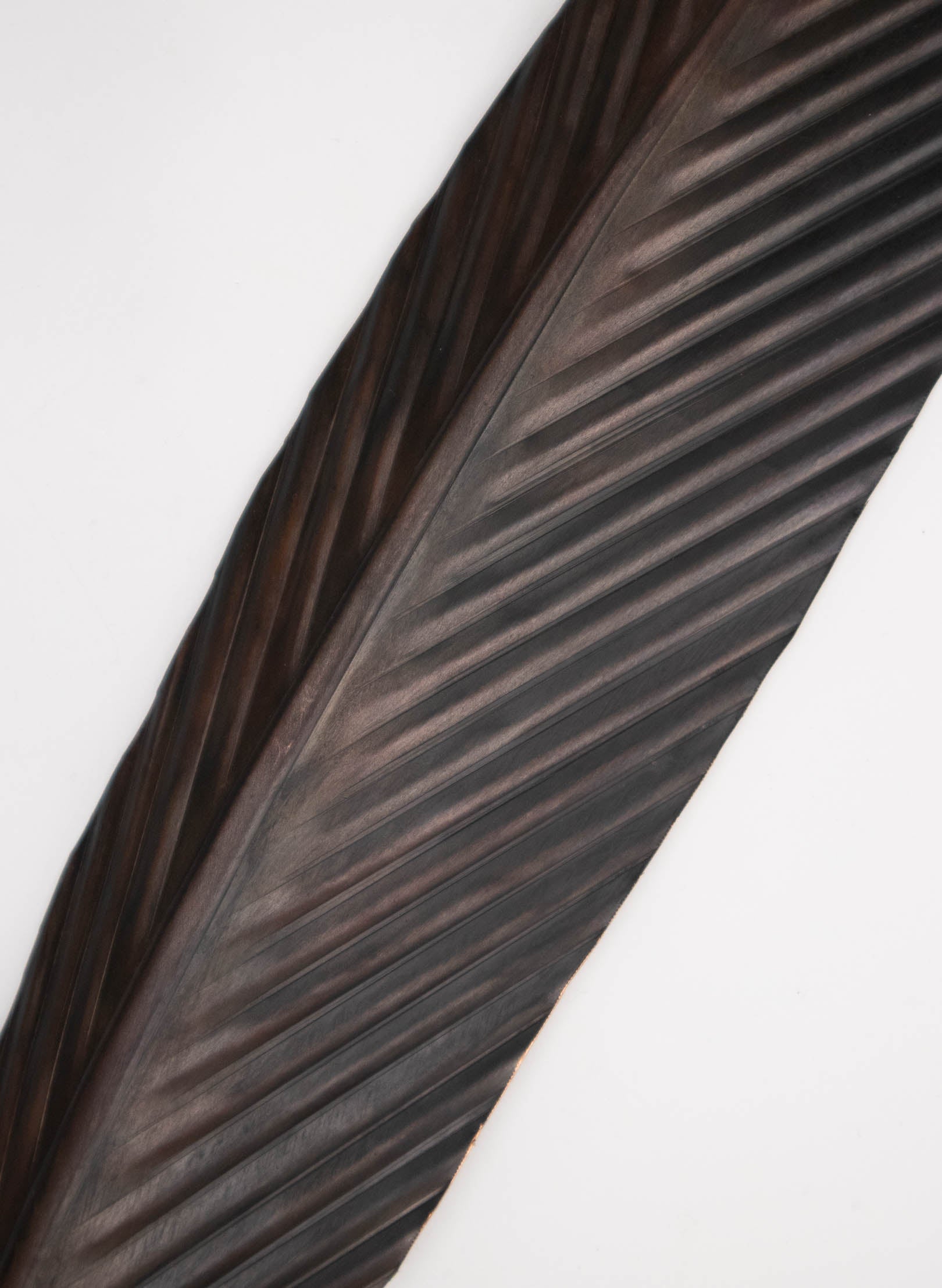 Tui Copper Feather 565mm